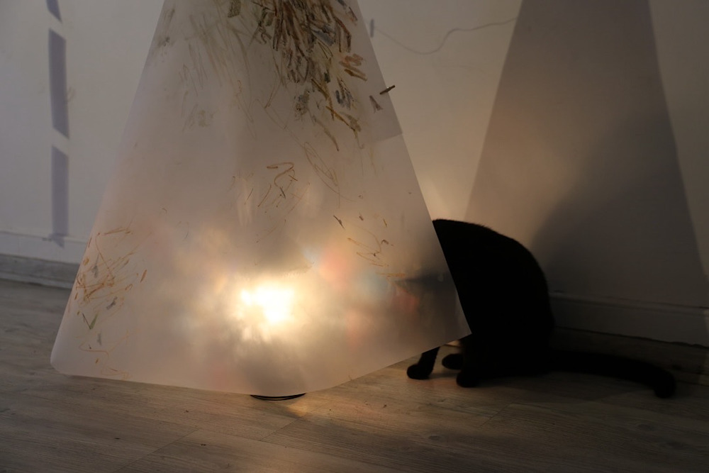 Unrolled — View 29 — Jay Lee