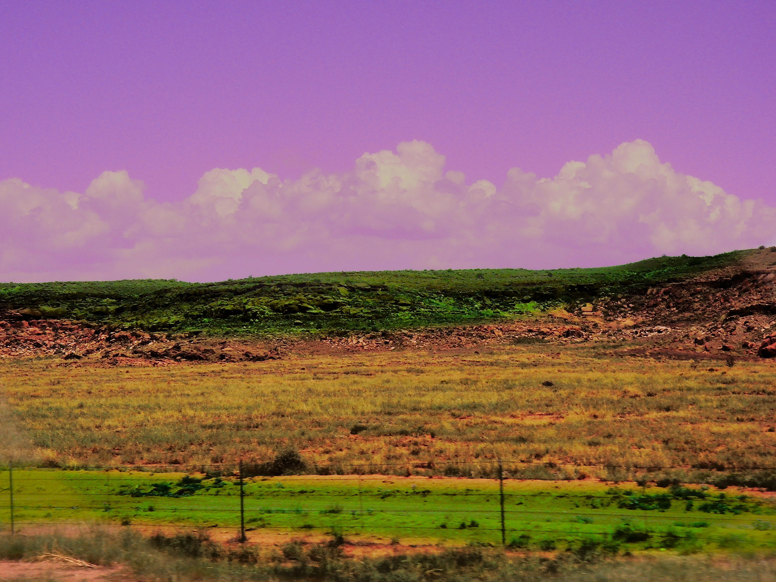 
        <div class='title'>
          Lavendar Skies
        </div>
       