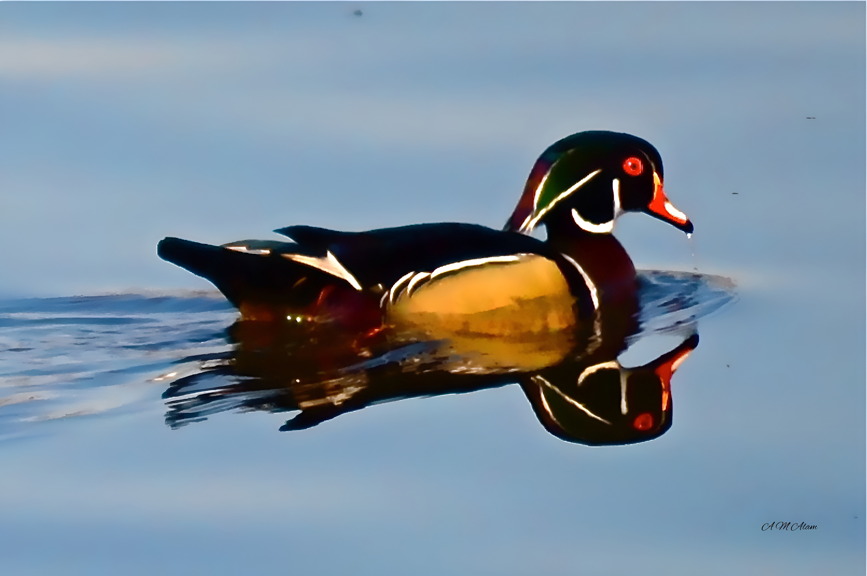 
        <div class='title'>
          Beauty in Motion
        </div>
       
        <div class='description'>
          
        </div>
      