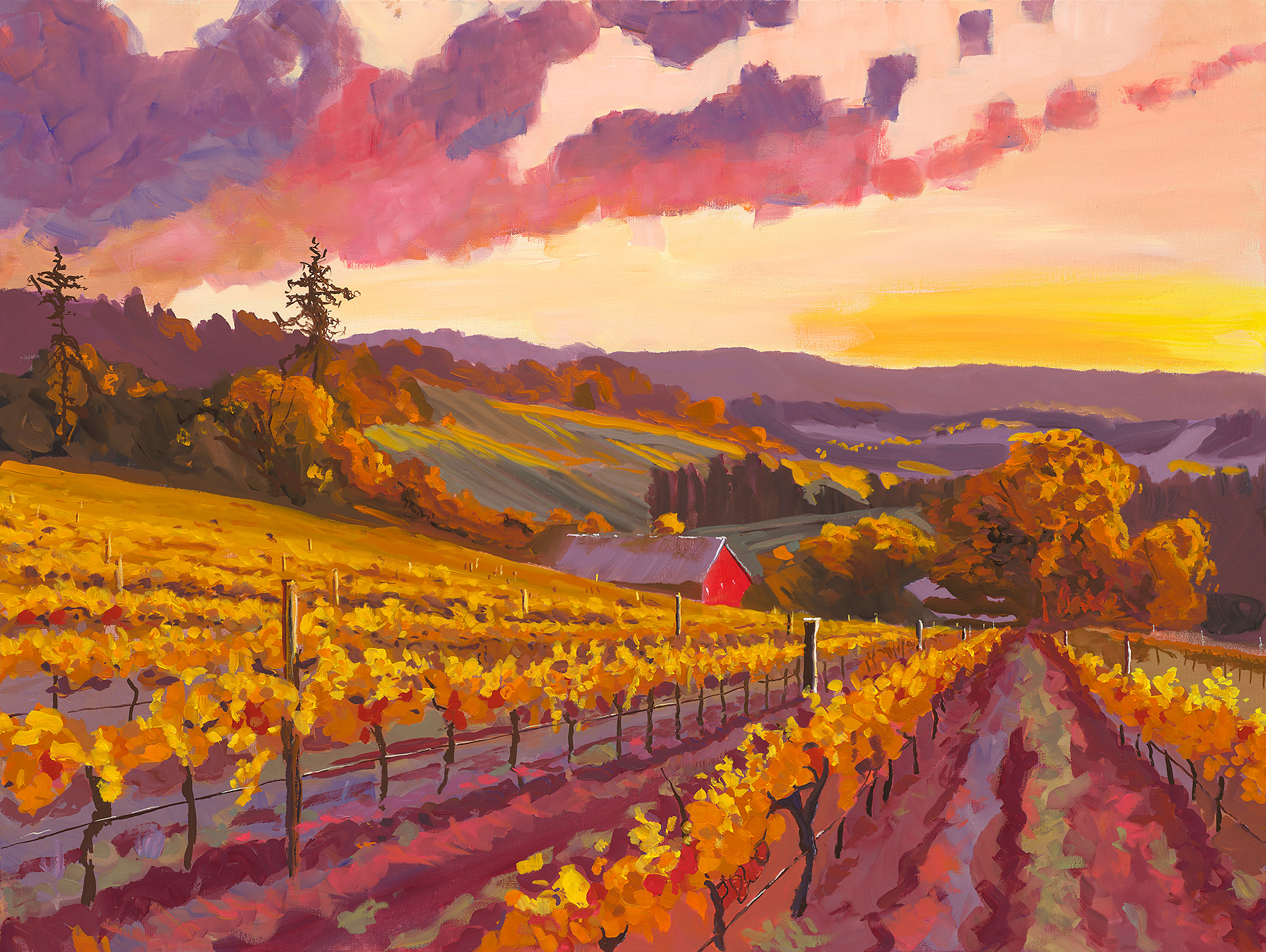 Harvest sunset scan pic4xj