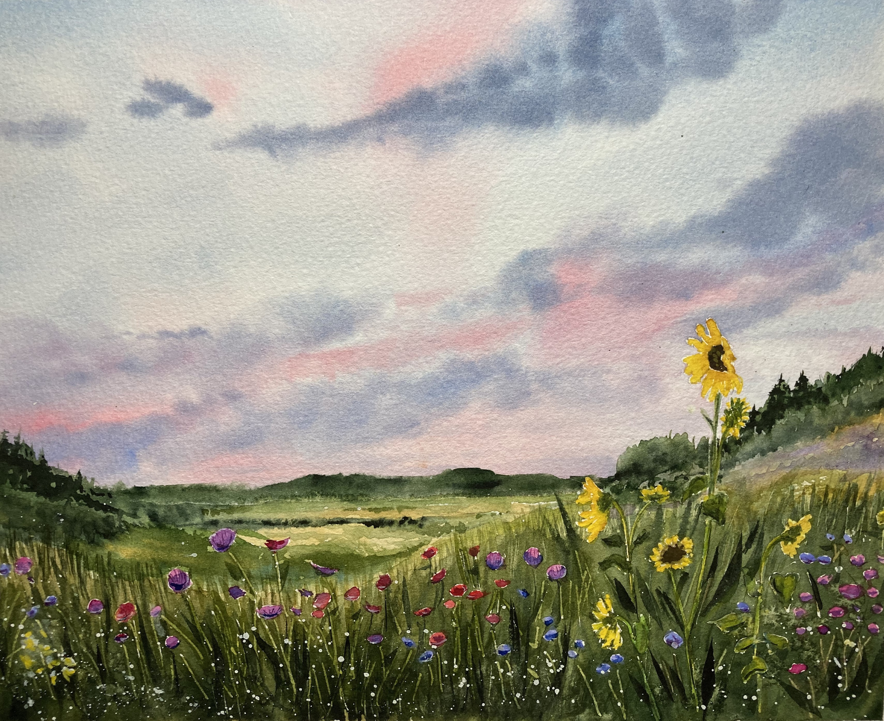 
        <div class='title'>
          Sunflower's View
        </div>
       
        <div class='description'>
          
        </div>
      