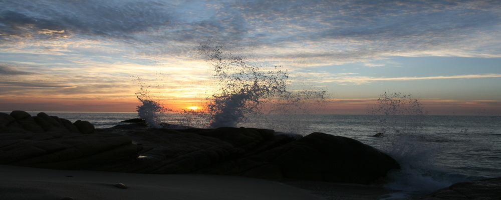
        <div class='title'>
          Charlotte Blacklee Ocean Symphon
        </div>
       