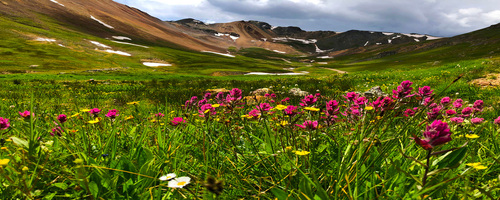
        <div class='title'>
          Charlotte Blacklee Mountain Flow
        </div>
       