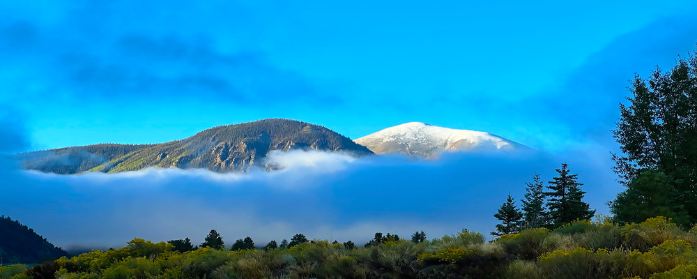 
        <div class='title'>
          Charlotte Blacklee Mountain Fog 
        </div>
       