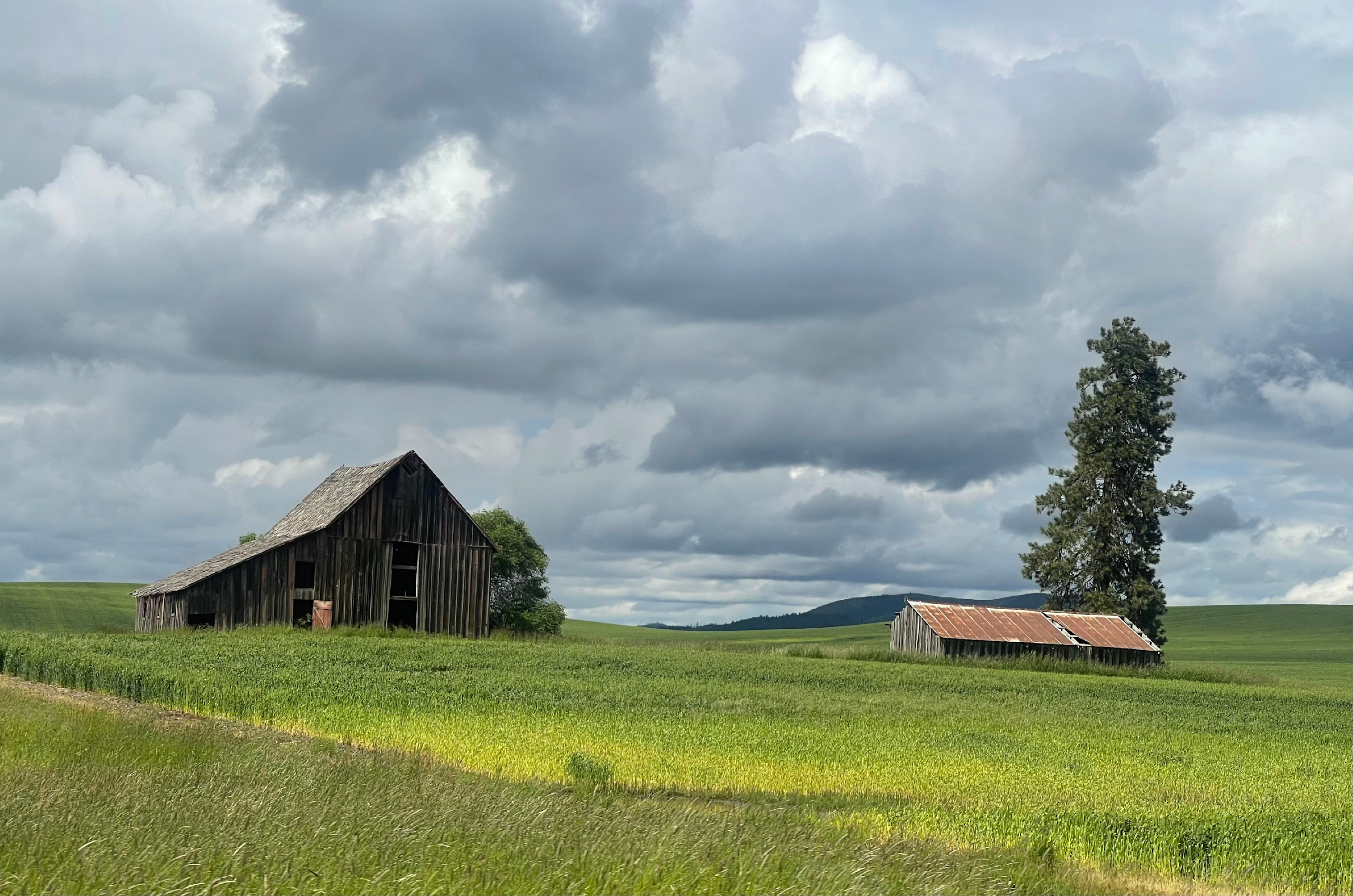 
        <div class='title'>
          Kendrick Barn
        </div>
       
        <div class='description'>
          
        </div>
      
