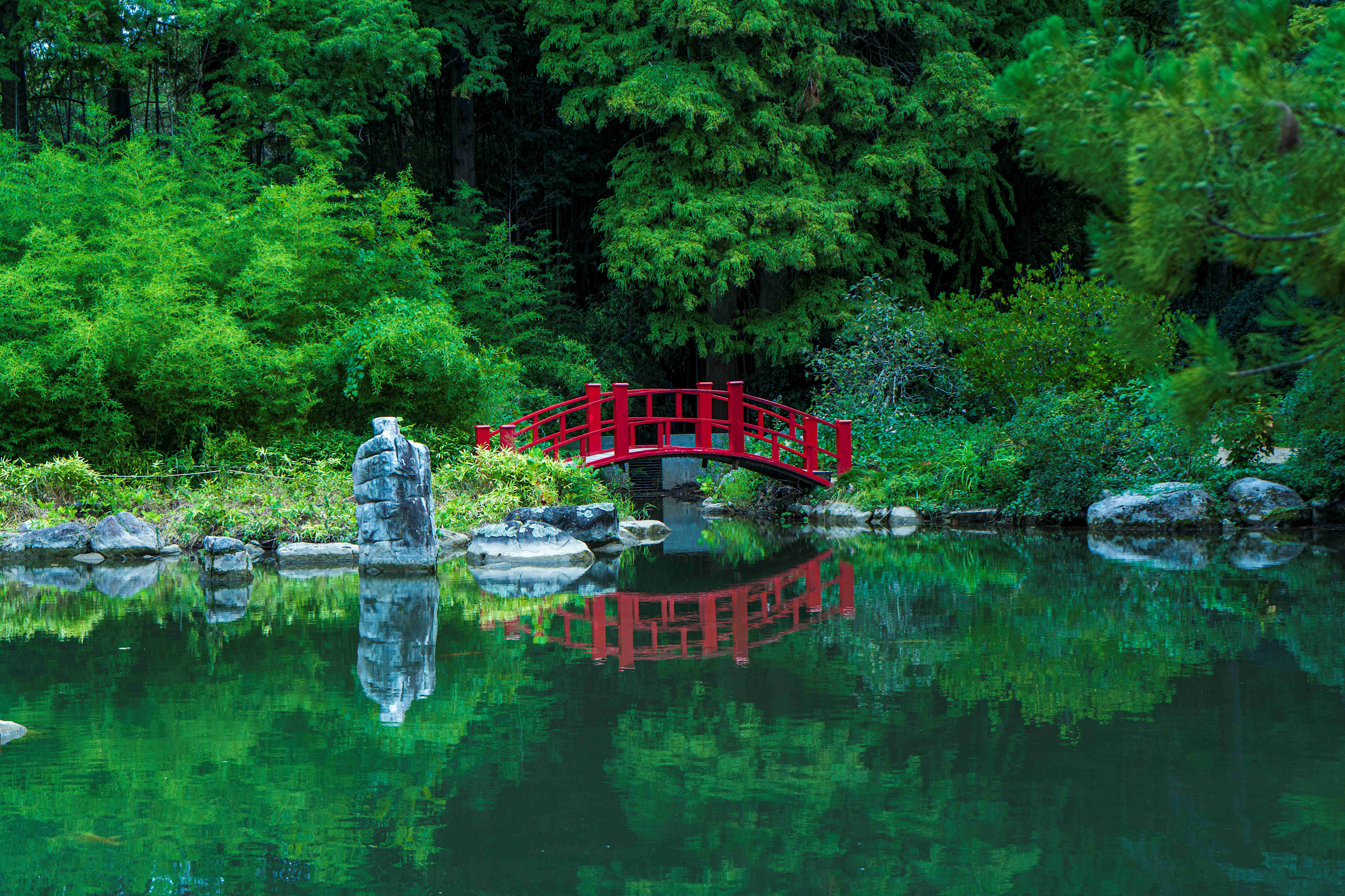 
        <div class='title'>
          Japanese Garden endhkd
        </div>
       
        <div class='description'>
          
        </div>
      