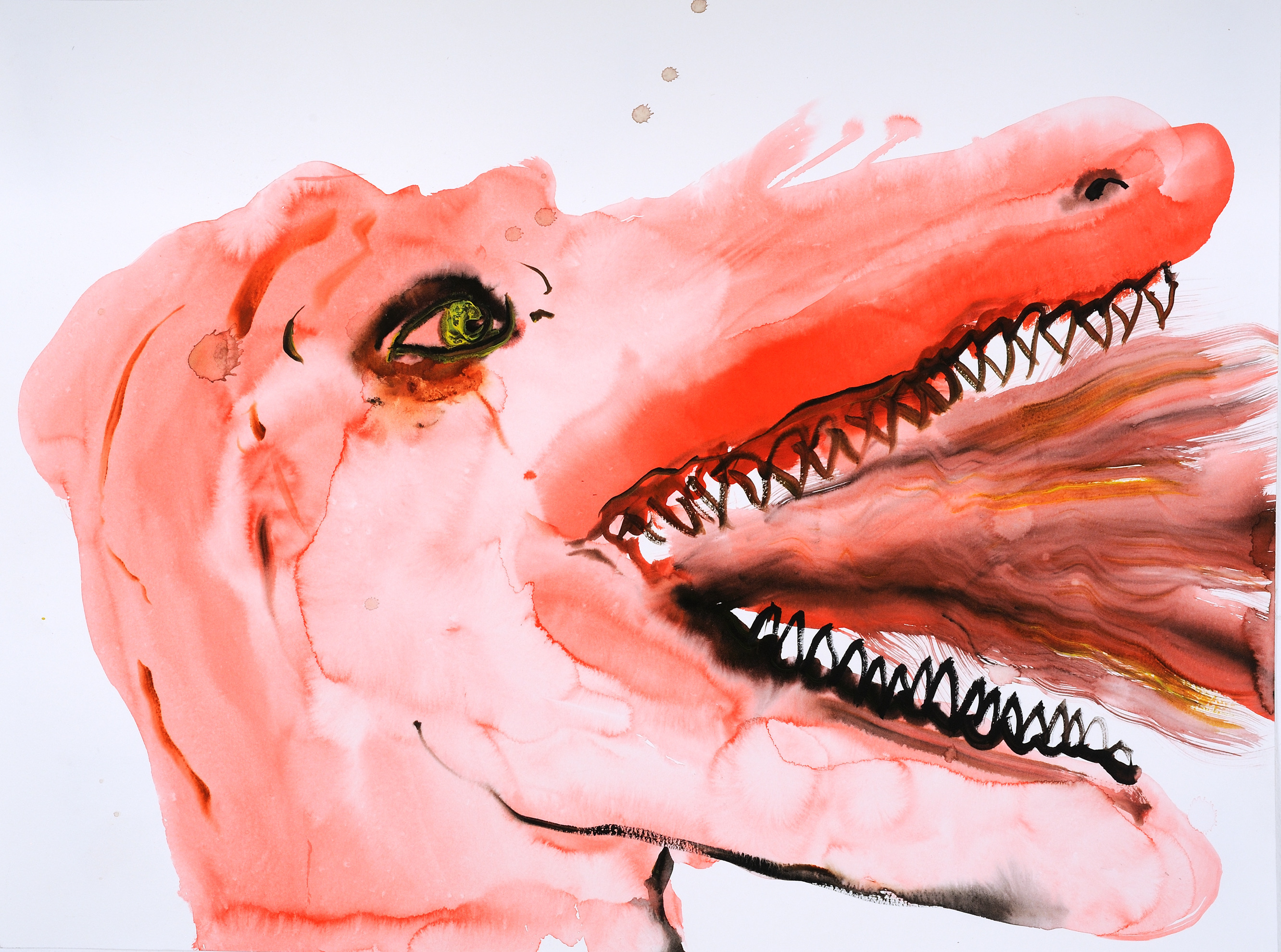 
        <div class='title'>
          dragon 24x18
        </div>
       