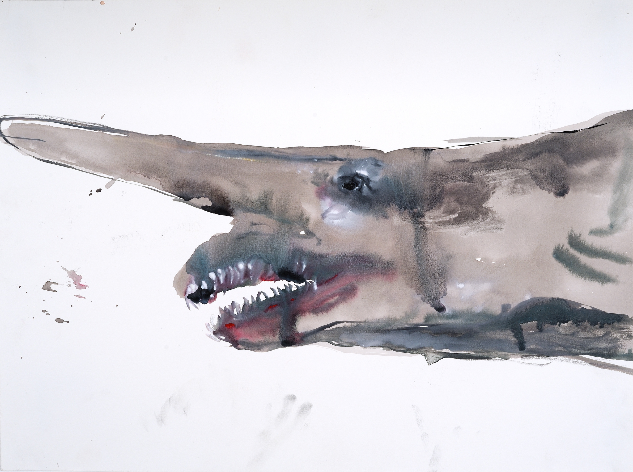 
        <div class='title'>
          goblinshar 24x18
        </div>
       