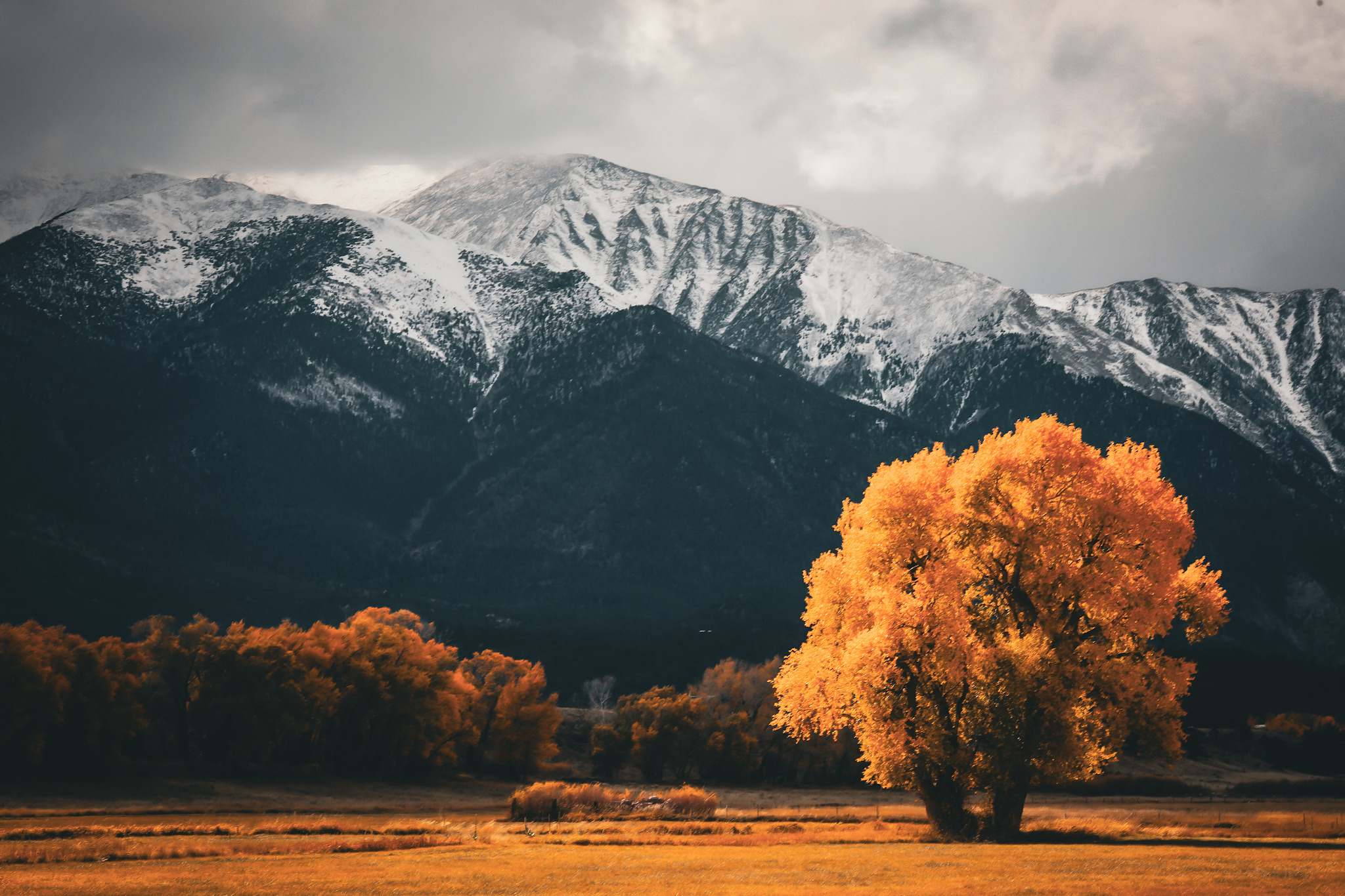 
        <div class='title'>
          Fall vs Winter
        </div>
       