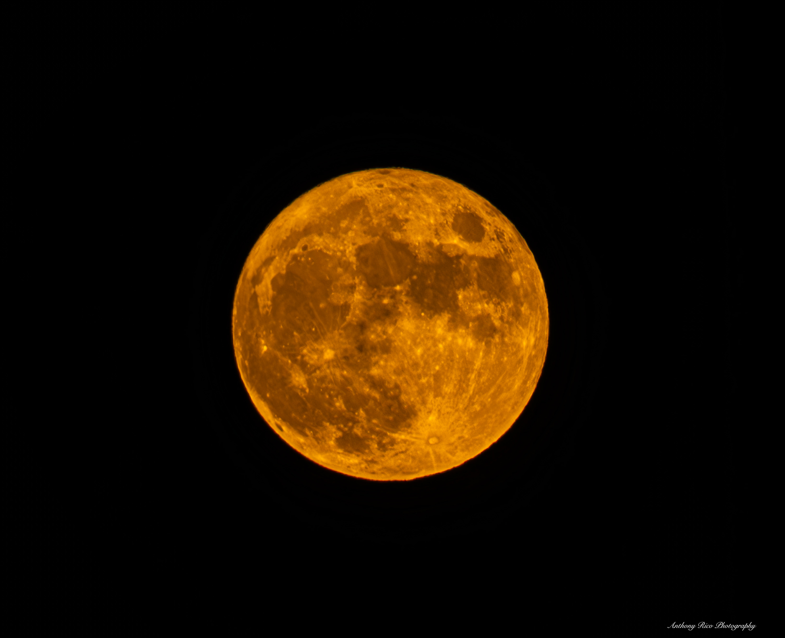 
        <div class='title'>
          Bloodmoon 2023
        </div>
       