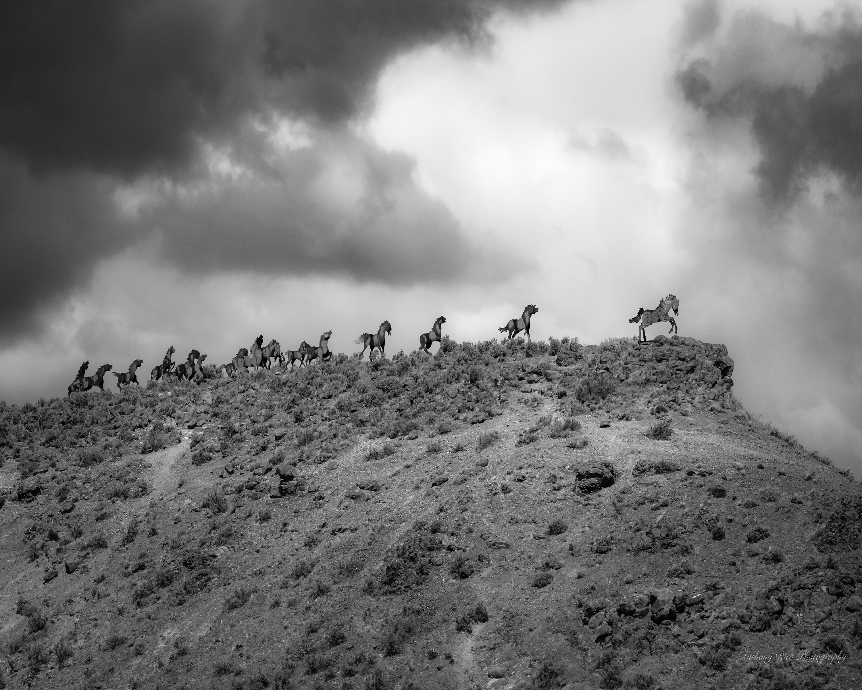 
        <div class='title'>
          Wild Horses Monument small 8x10
        </div>
       