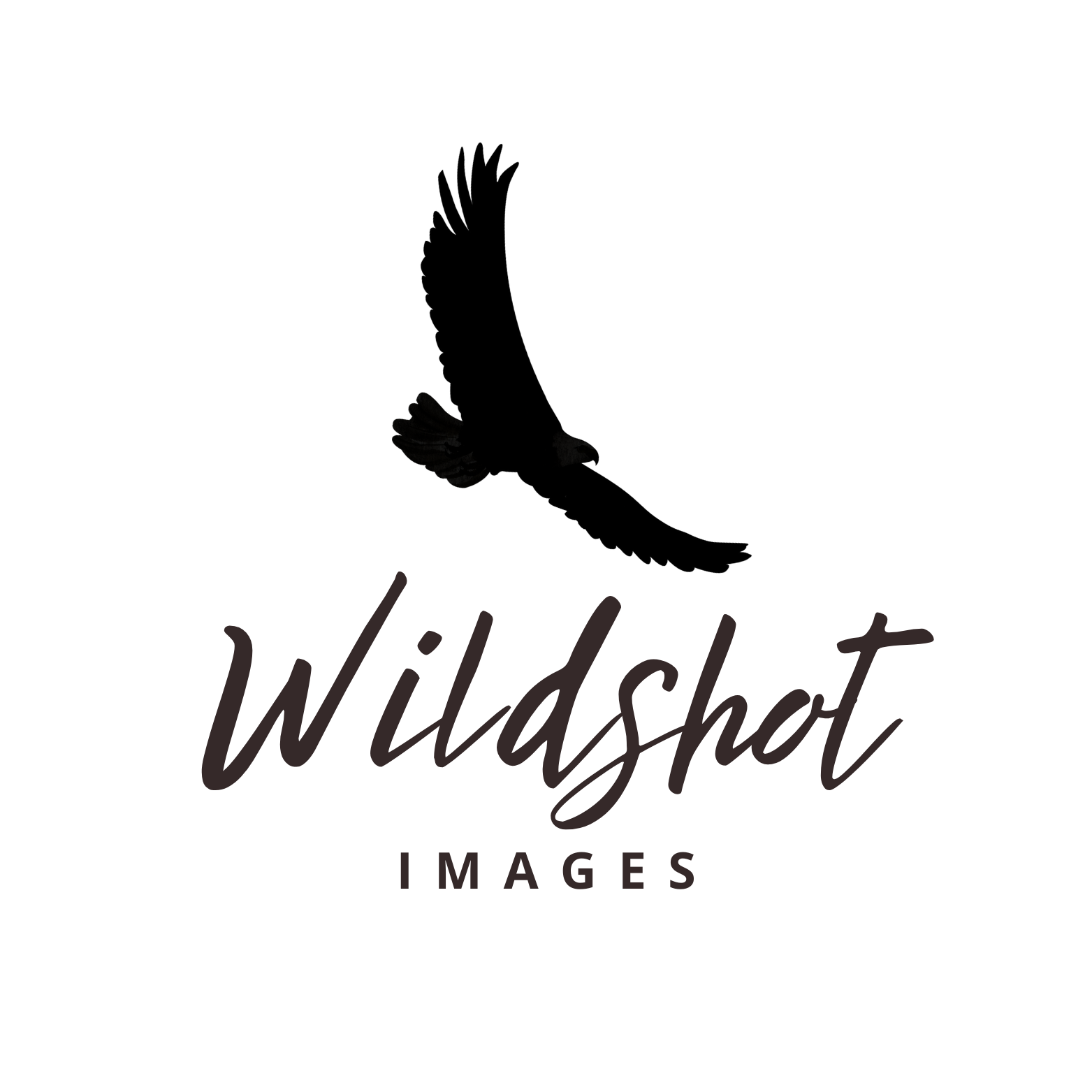 WildShot Images