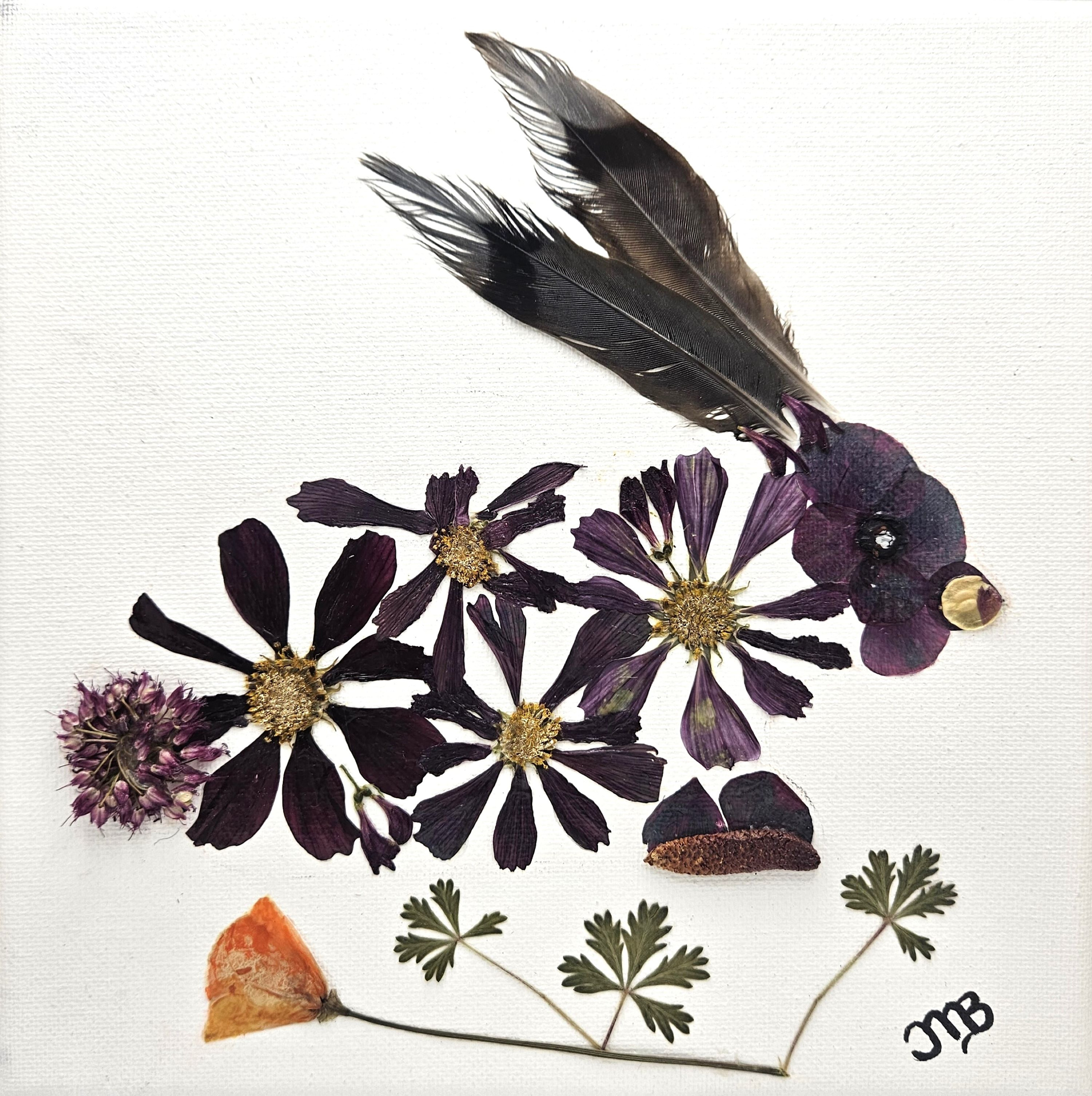 Af040 rabbit rev swv0qv