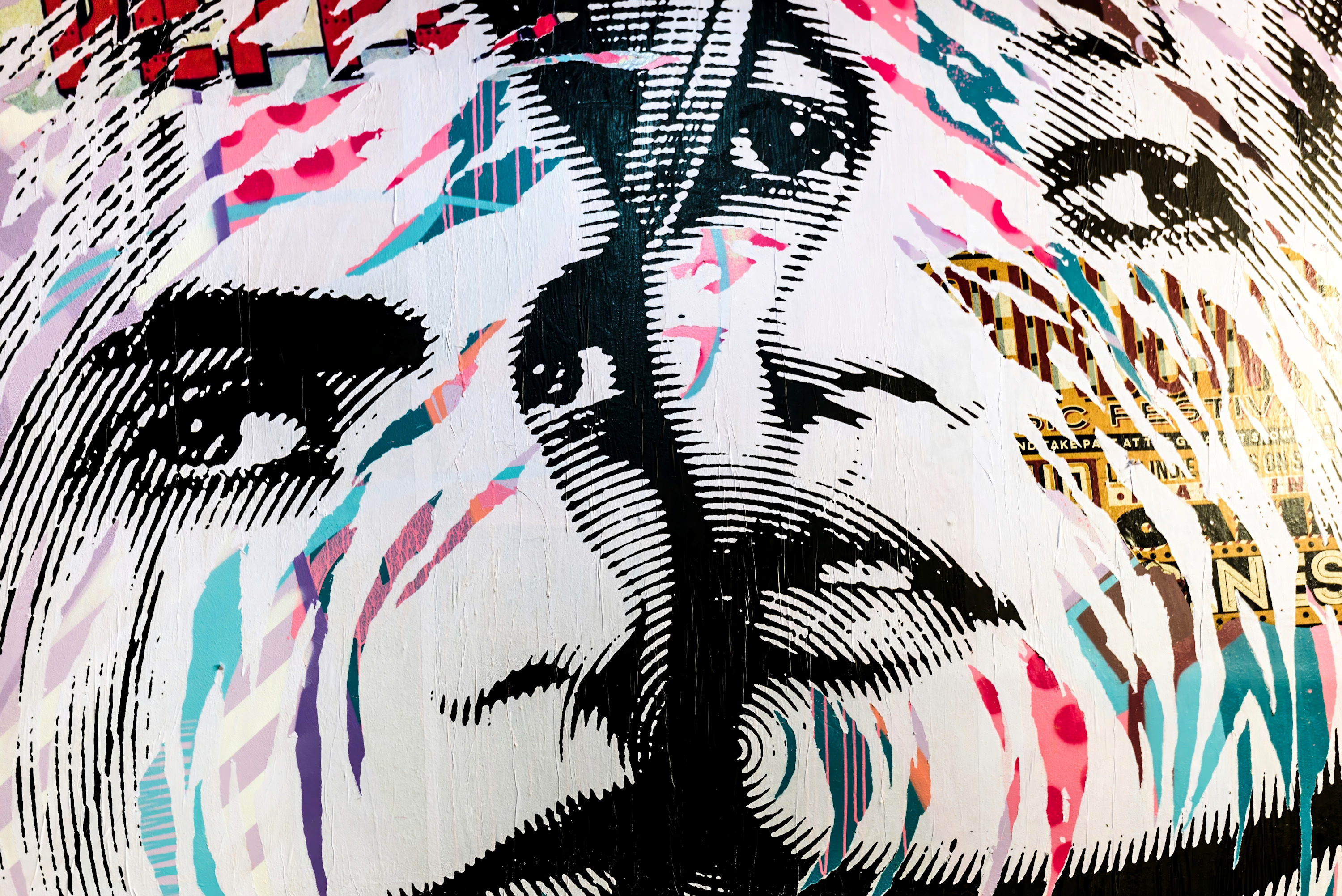 
        <div class='title'>
          Rehab Grafitti Painting, Paris France
        </div>
       
        <div class='description'>
          
        </div>
      