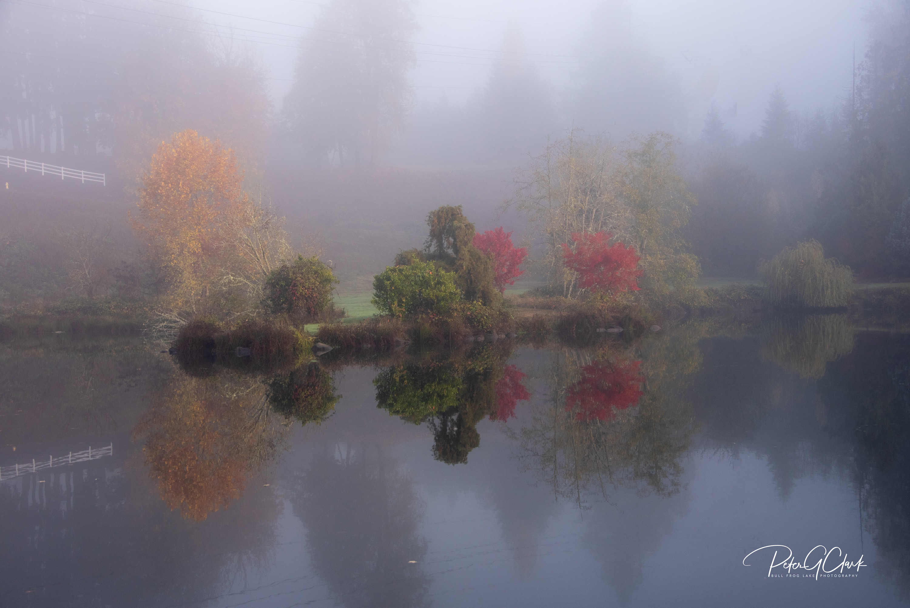 
        <div class='title'>
          Island in the Mist PGC1457
        </div>
       
        <div class='description'>
          
        </div>
      