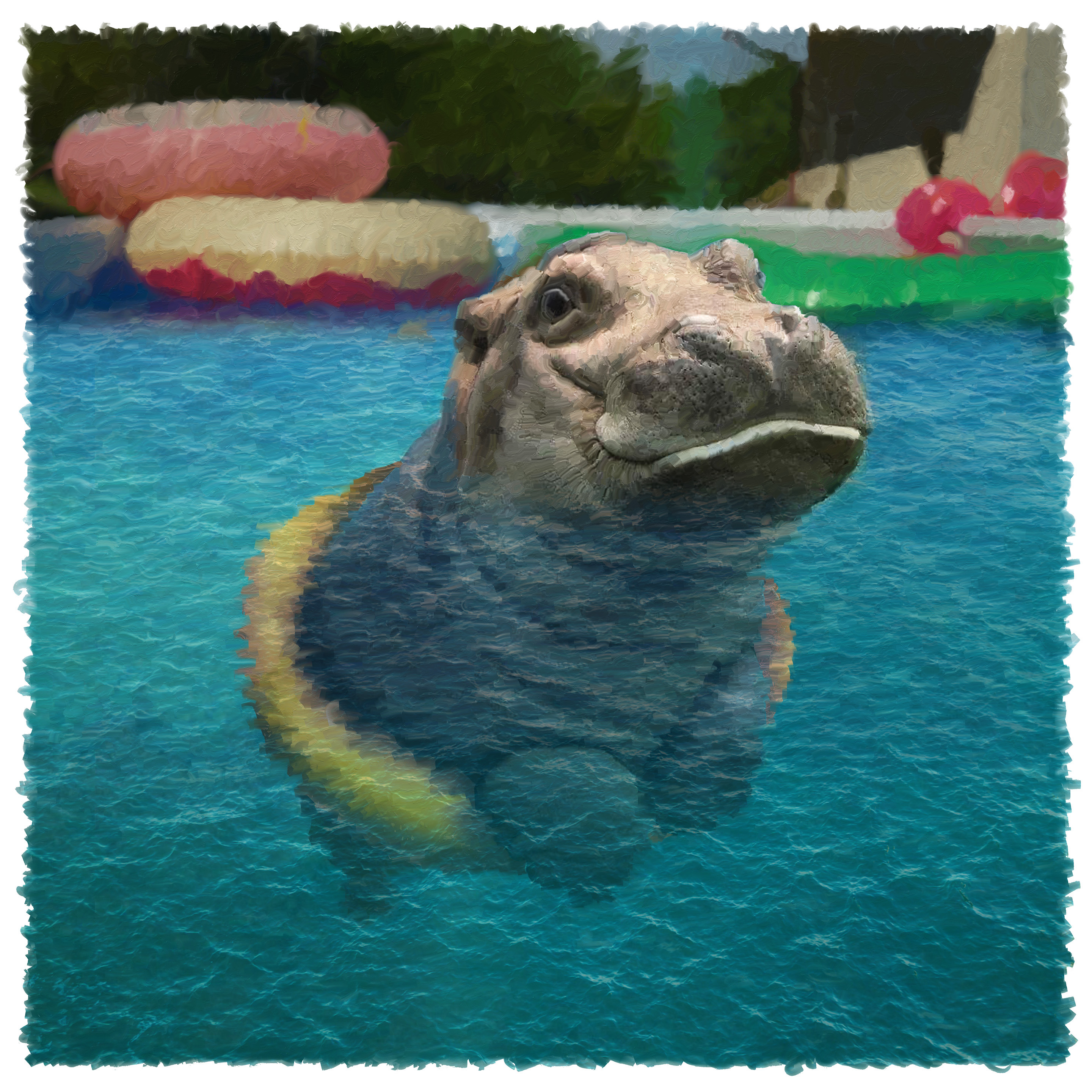 WILDSWANS PALM 藍染 Hippopotamus 68700b83b7731.image.jpg?resize