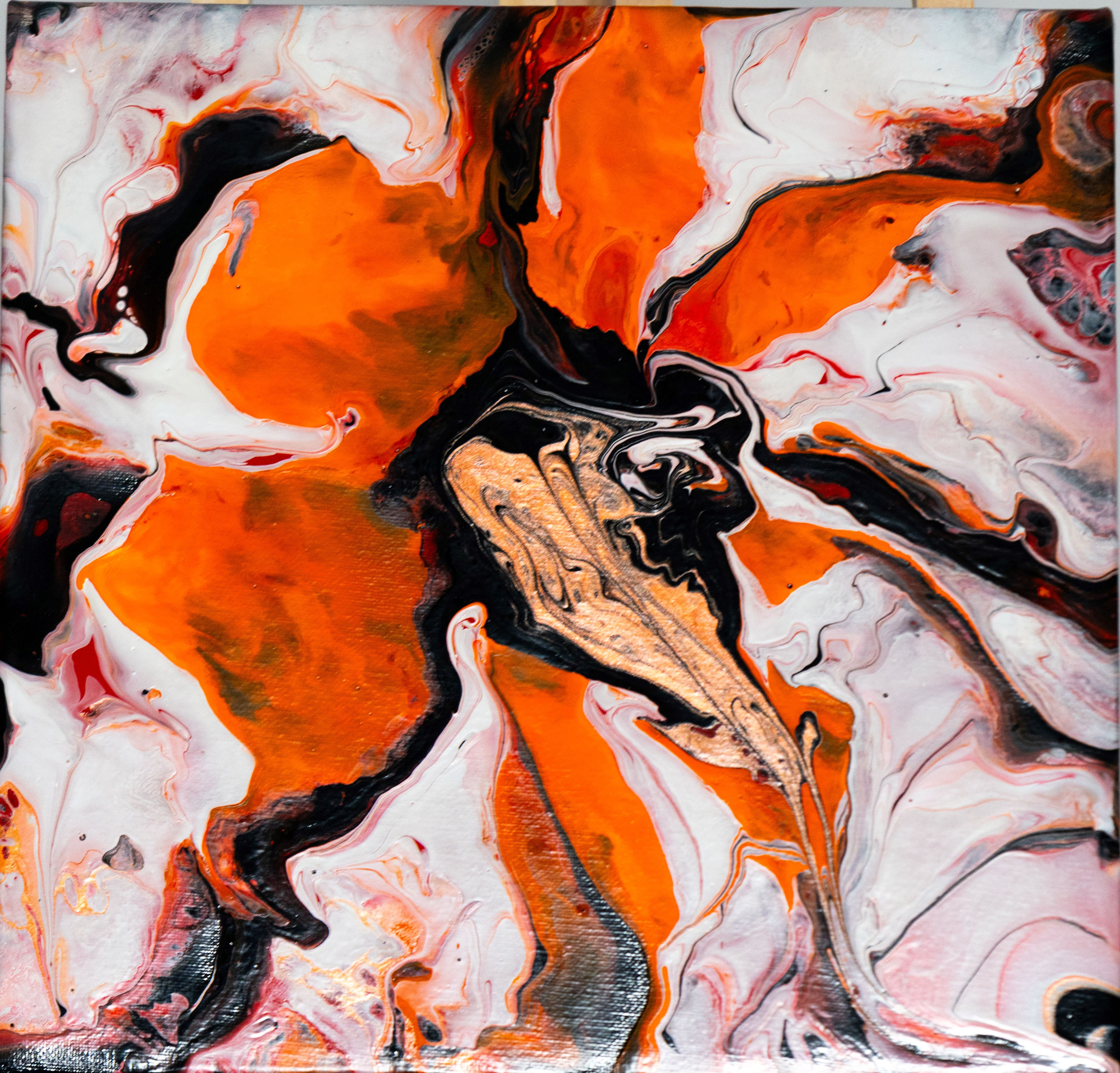 
        <div class='title'>
          art 13
        </div>
       
        <div class='description'>
          
        </div>
      