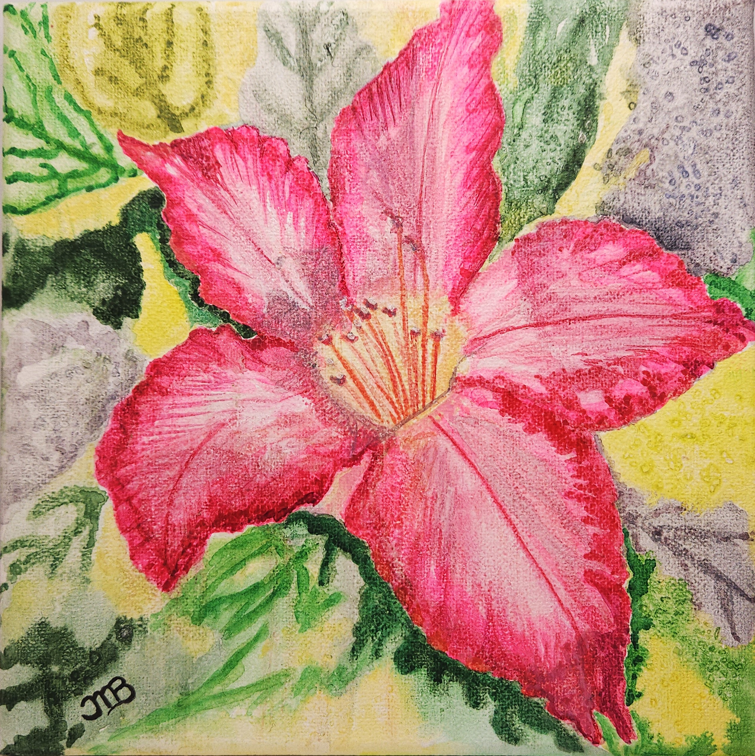 Af050 front 241223 suqe8a