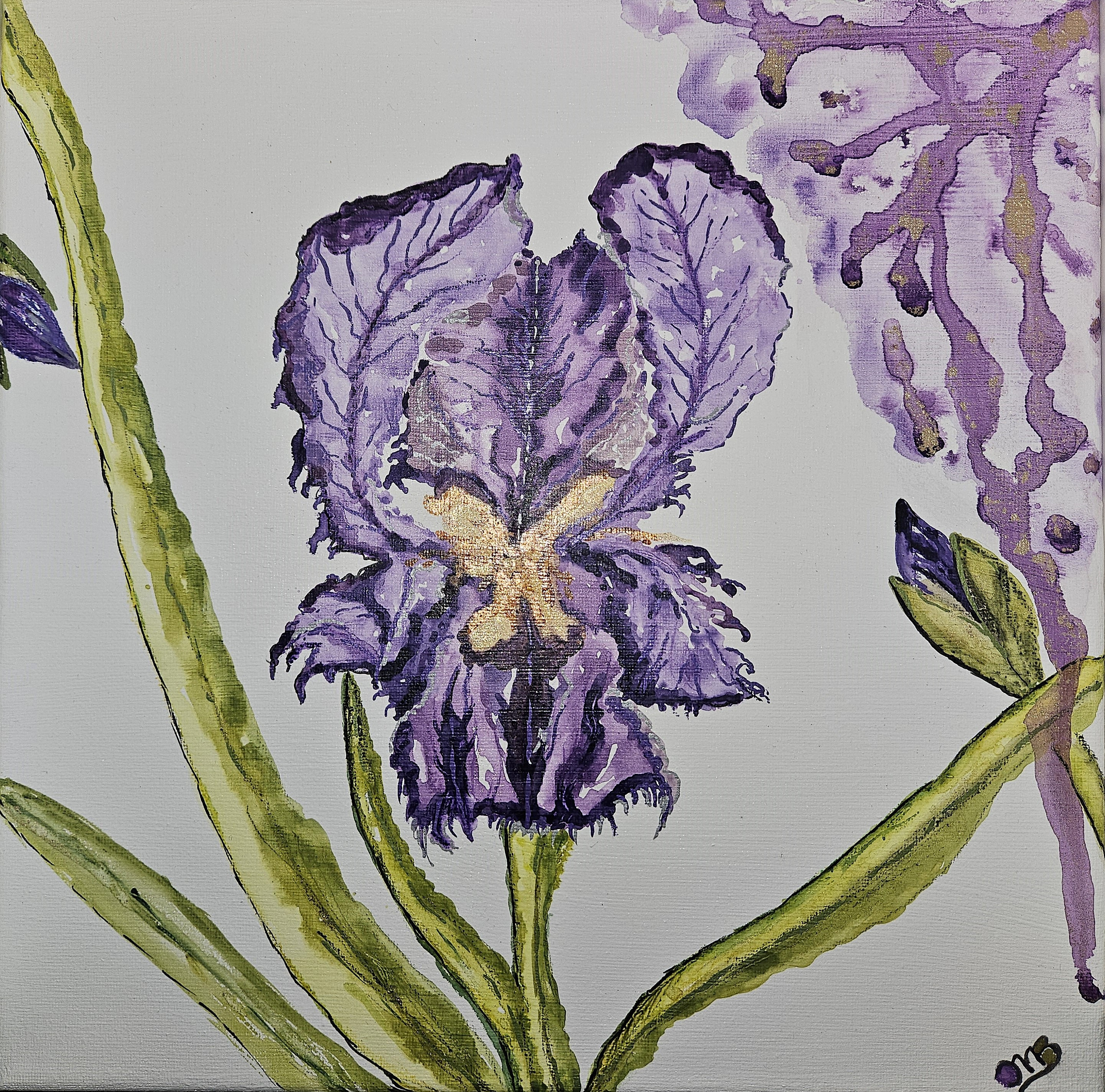 Af036 front 241223 qw2b2o