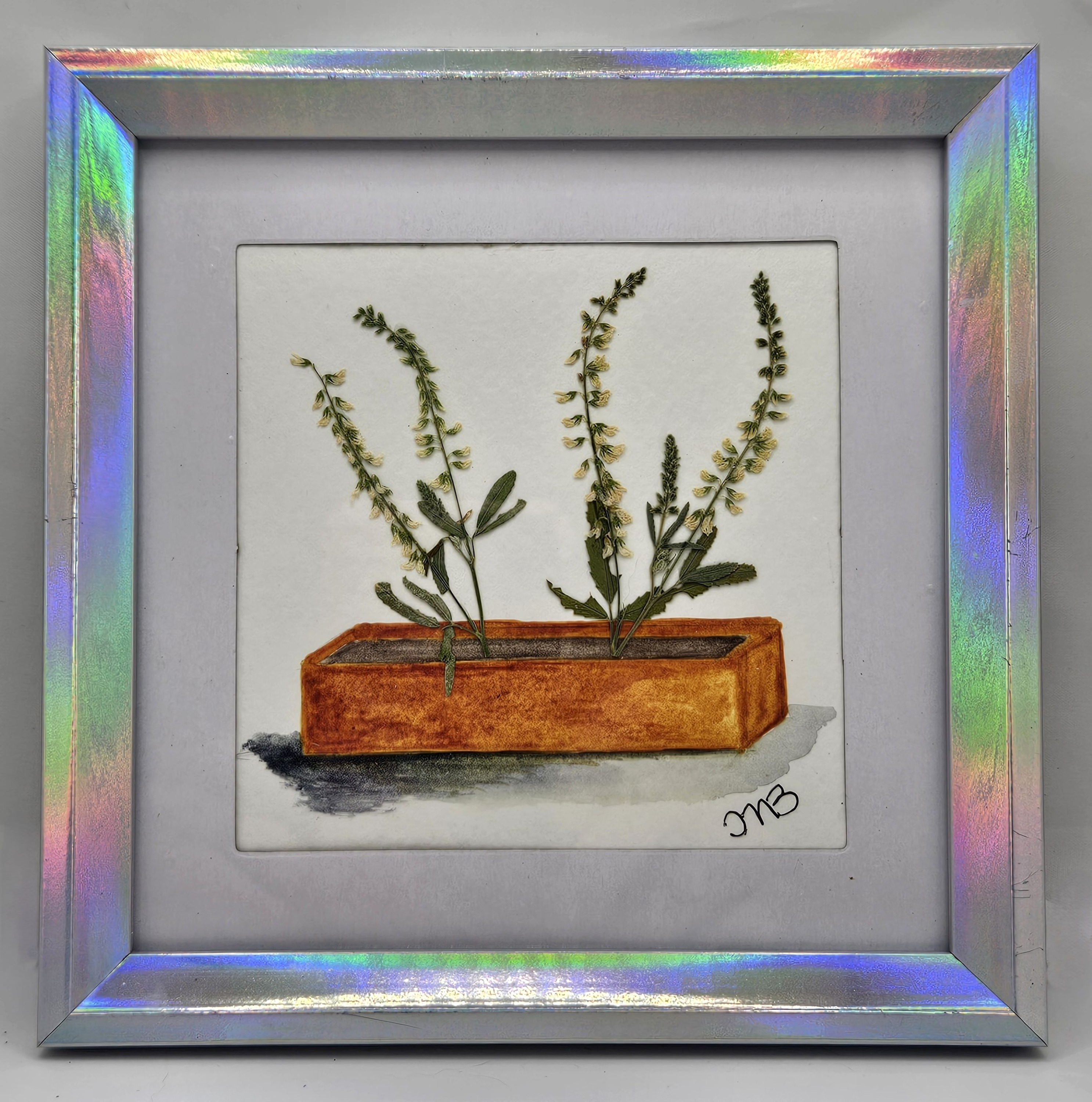 Af046 front 241223 jpnha2