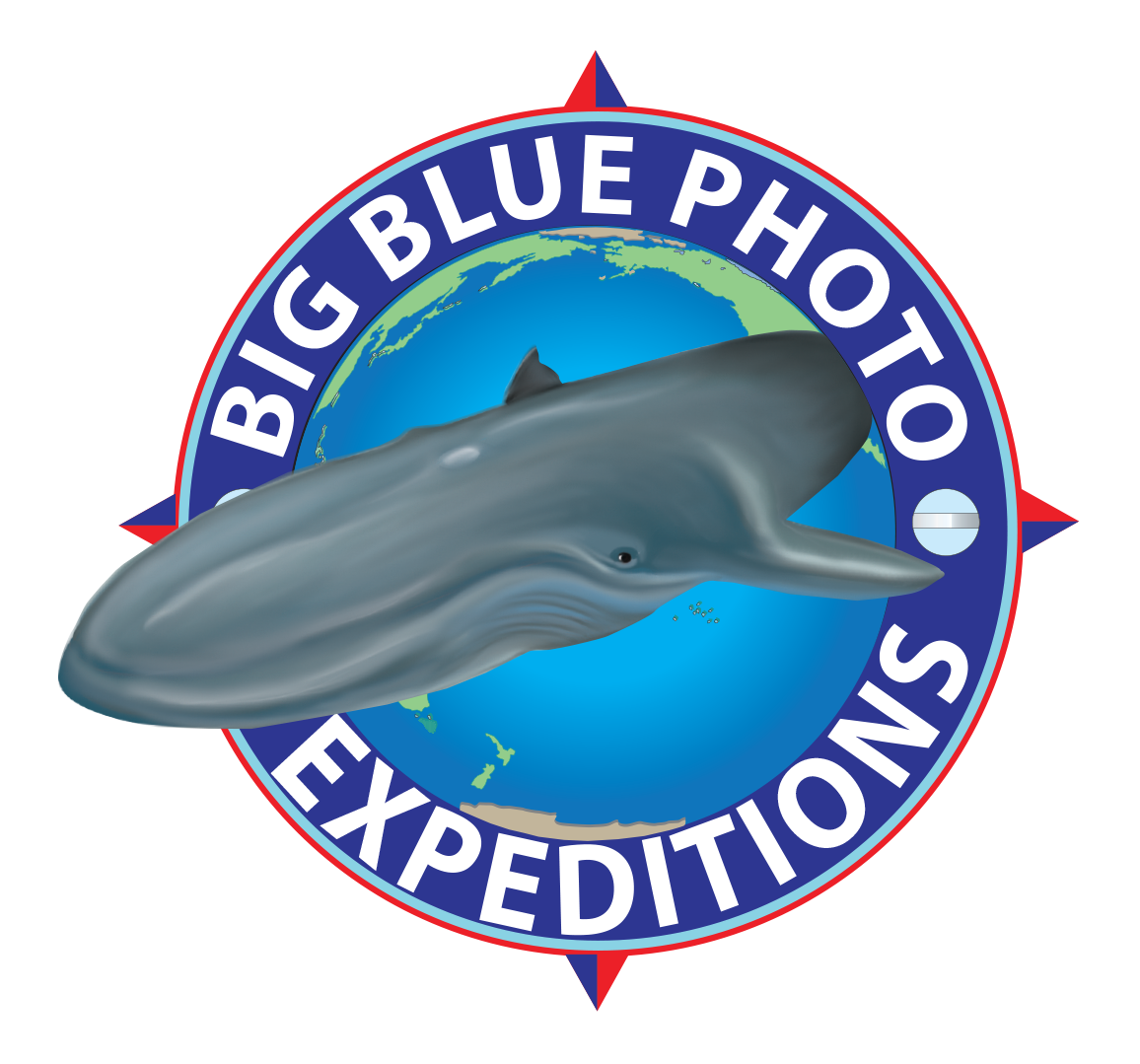 Ugdasx9mogbimtfhfp8i