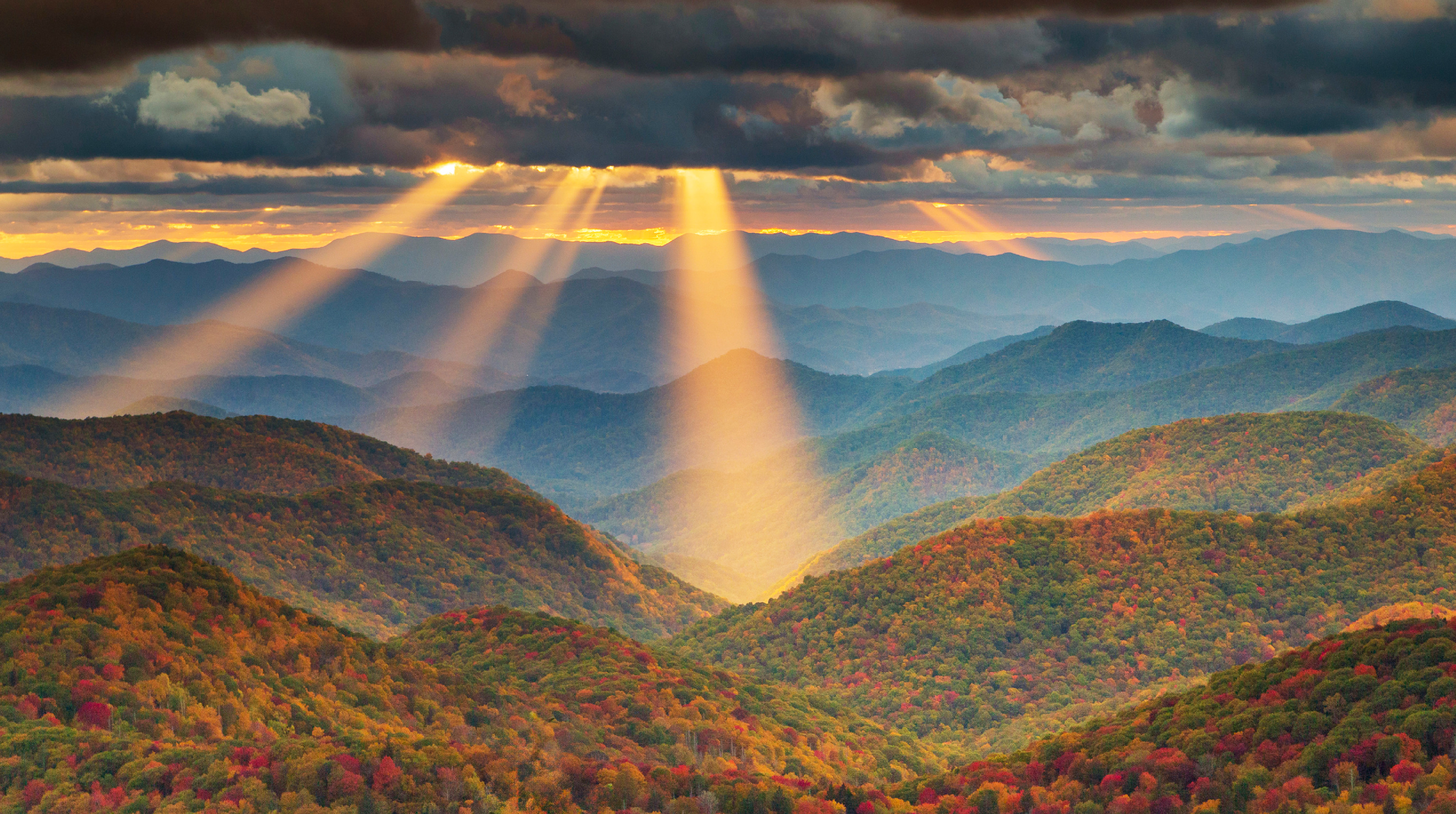 
        <div class='title'>
          LightRays NCFall2023
        </div>
       