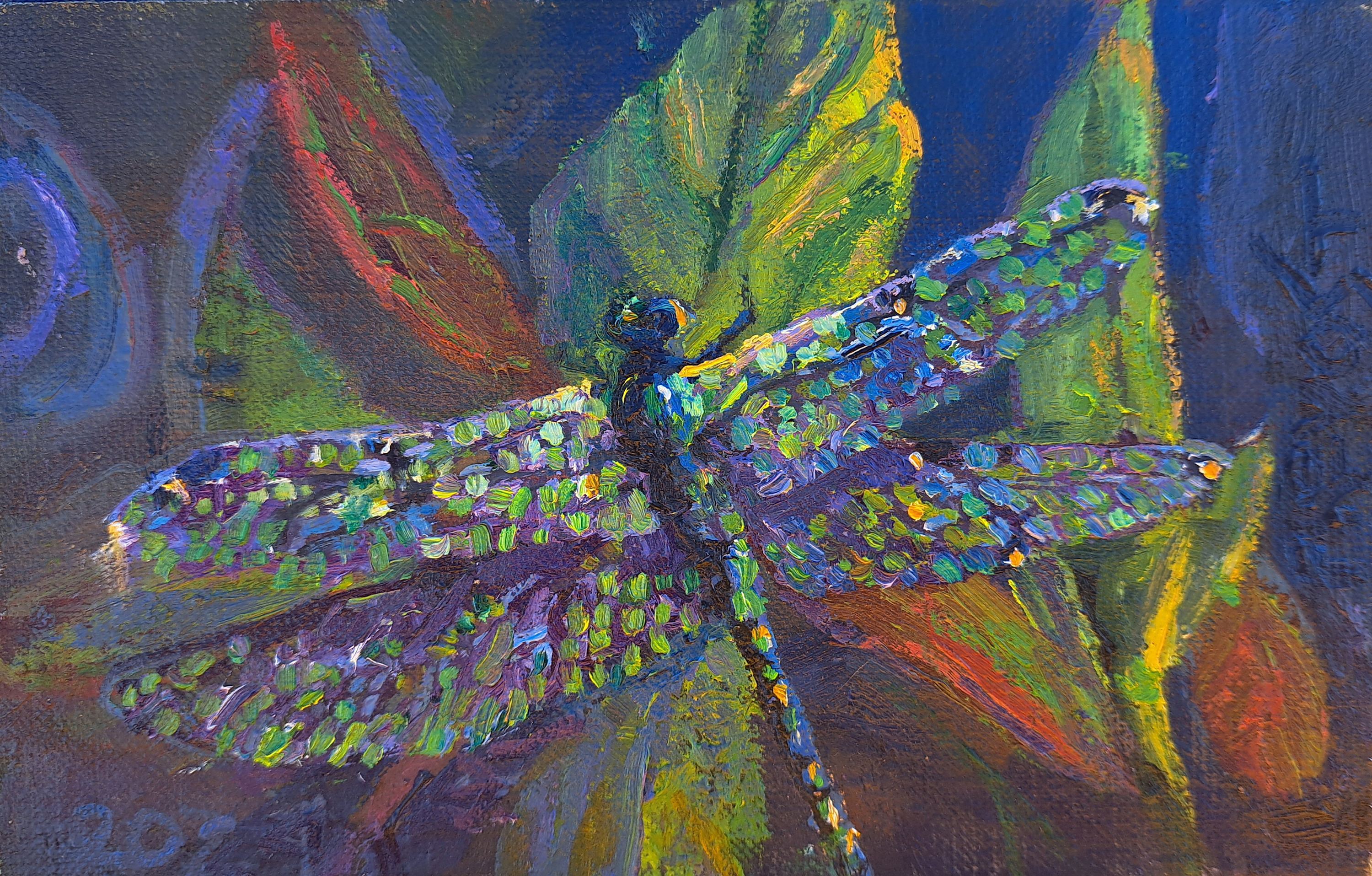 
        <div class='title'>
          Dragonfly
        </div>
       
        <div class='description'>
          
        </div>
      