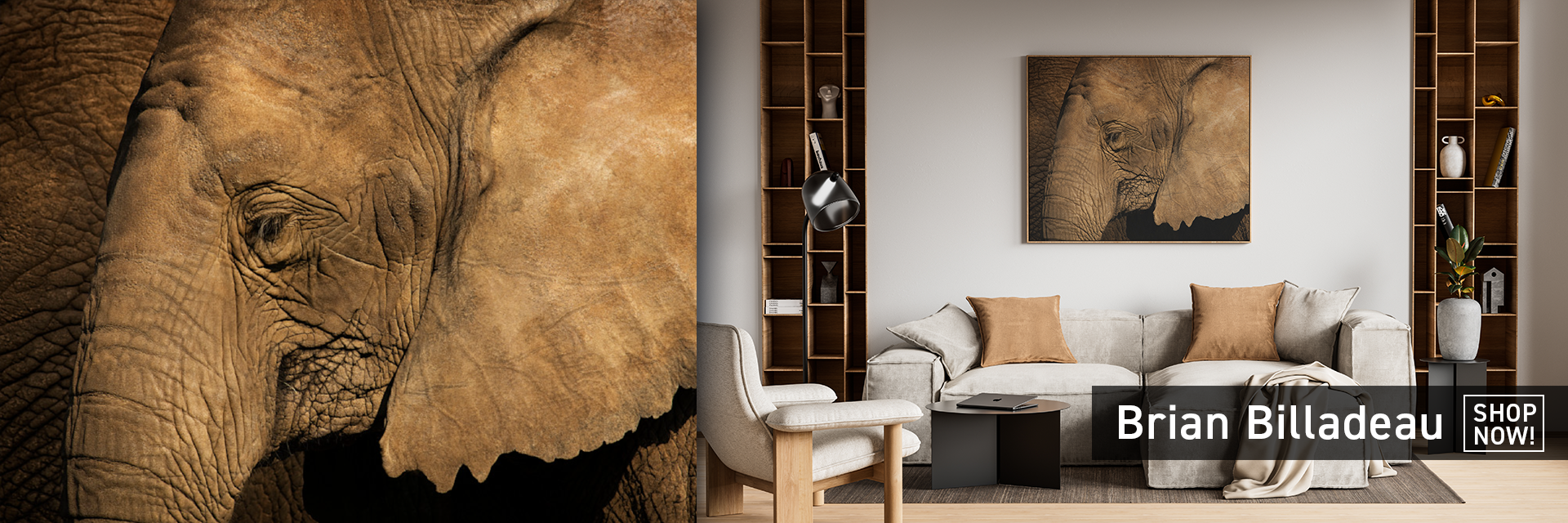 
        <div class='title'>
          LPGS livingroom 1 header BB
        </div>
       
        <div class='description'>
          
        </div>
      