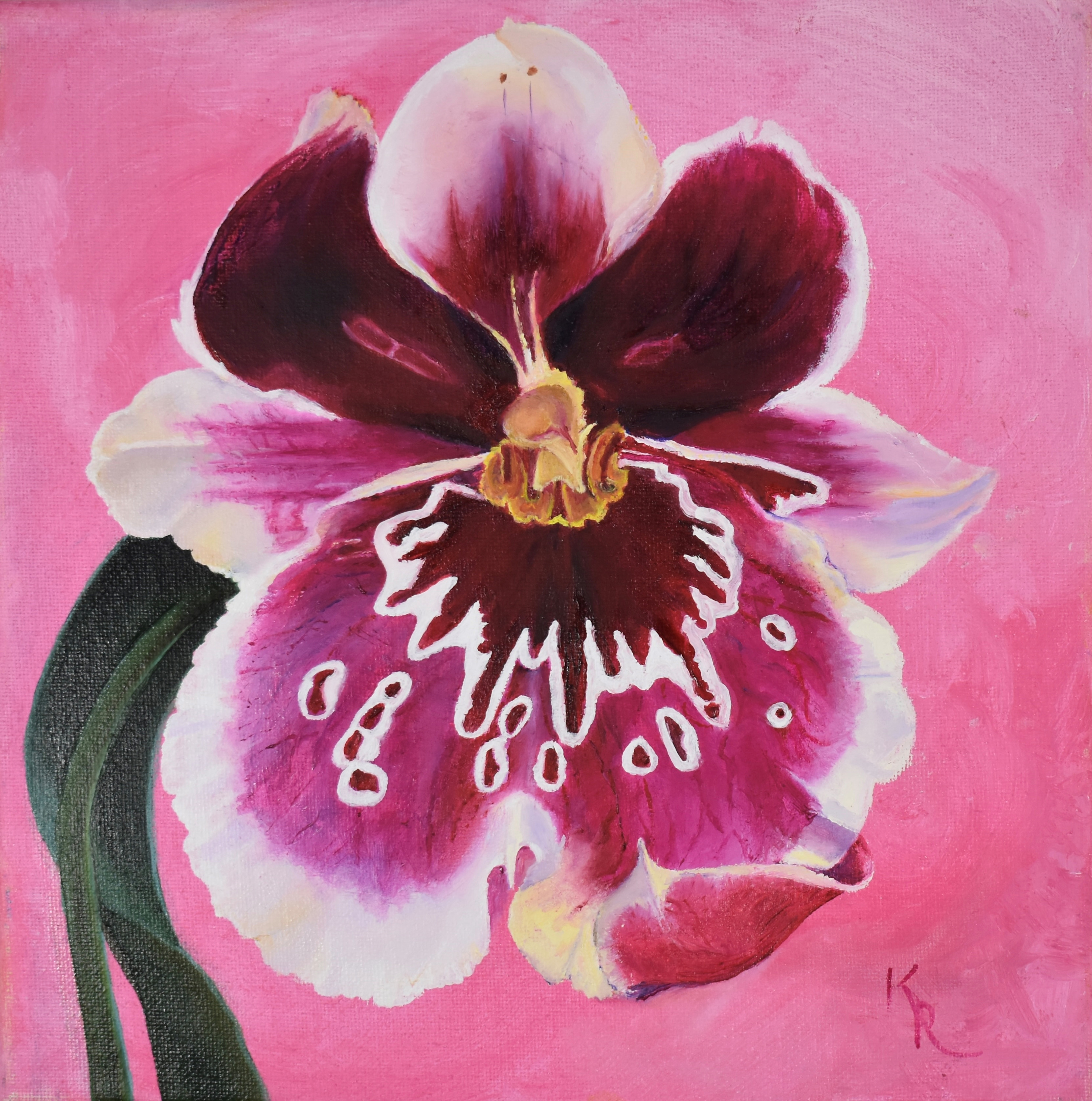 Pink orchid 10x10 225 agzefh