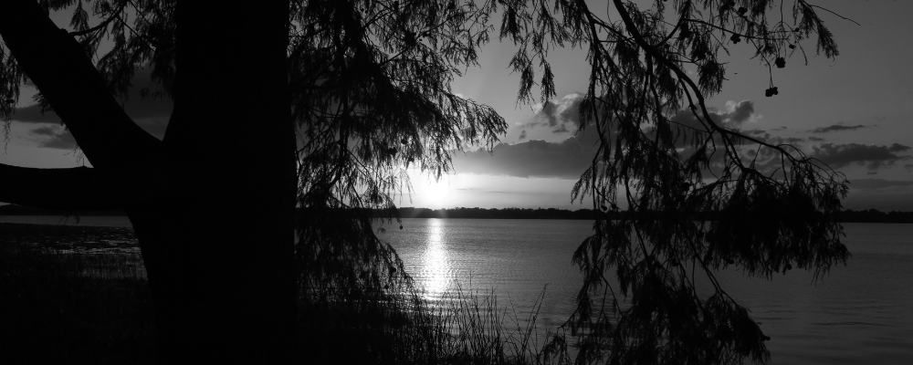 
        <div class='title'>
          Sunset
        </div>
       