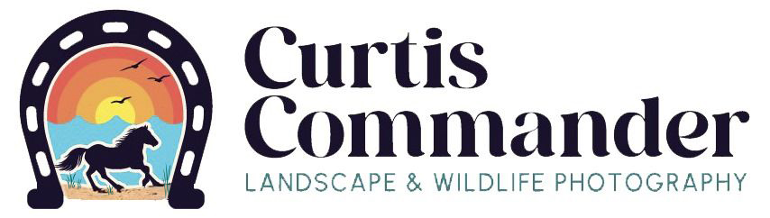 Curtis Commander Photography