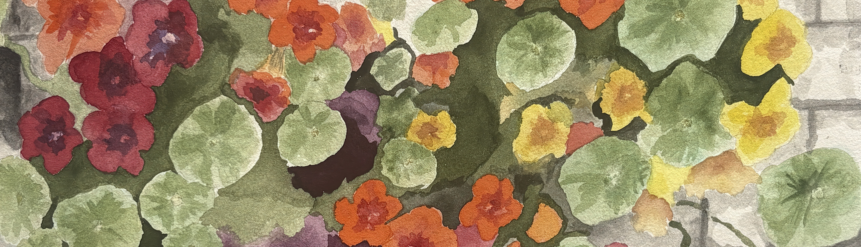 
        <div class='title'>
          Catherine Dean Nasturtiums On My Wall high fidelity v2 2x
        </div>
       