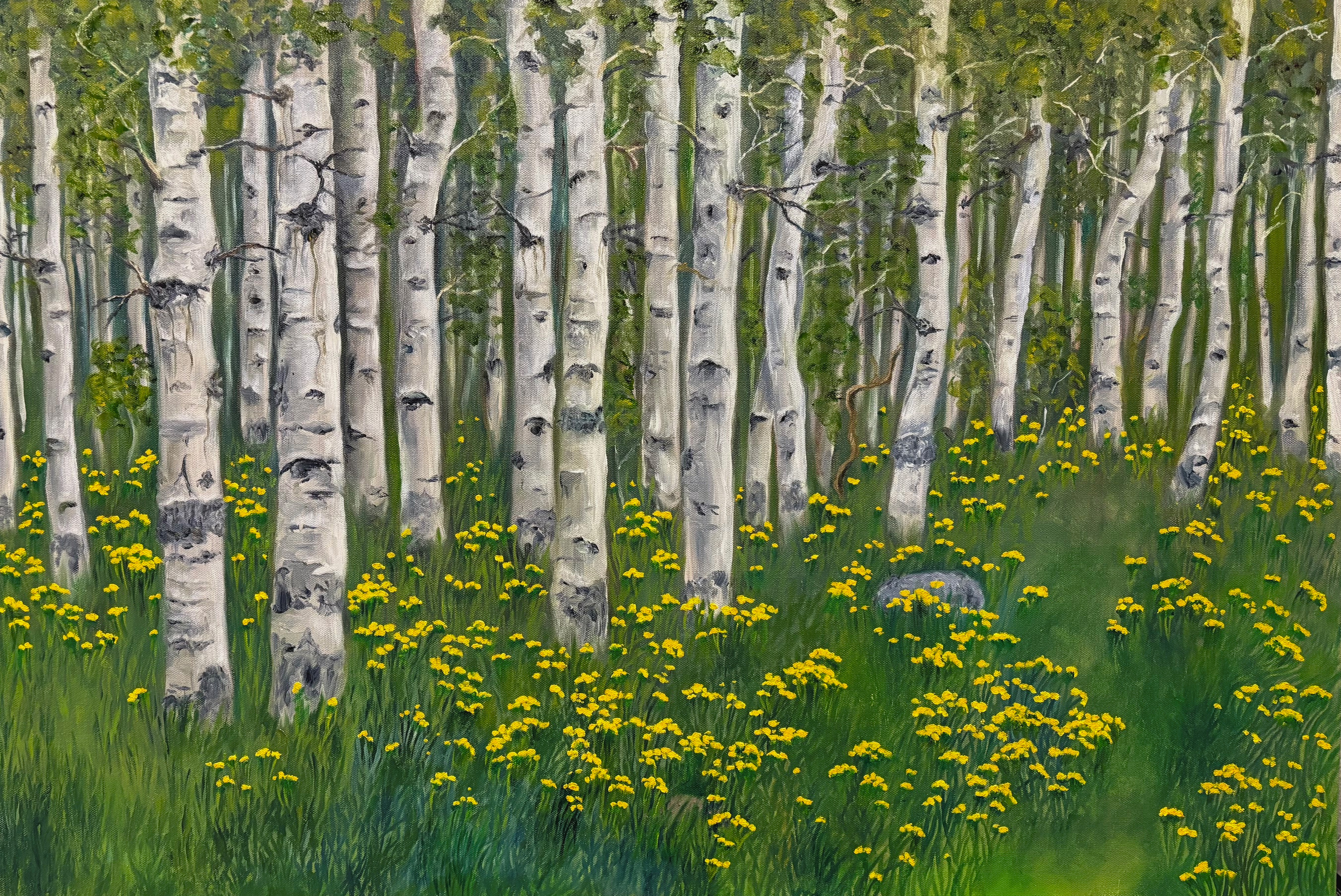 
        <div class='title'>
          Spring Grove
        </div>
       