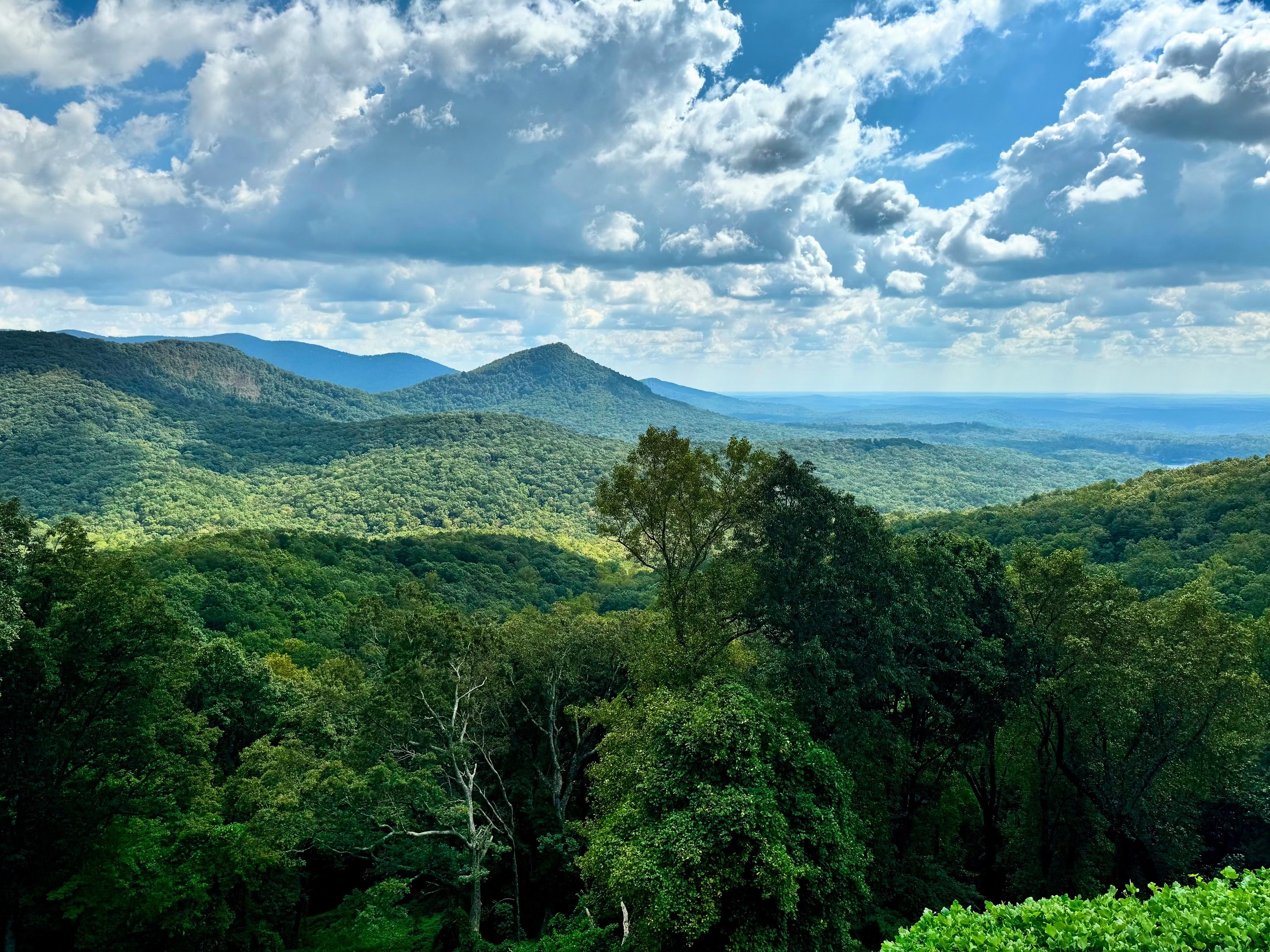 
        <div class='title'>
          Mountain Majesty 
        </div>
       
        <div class='description'>
          
        </div>
      