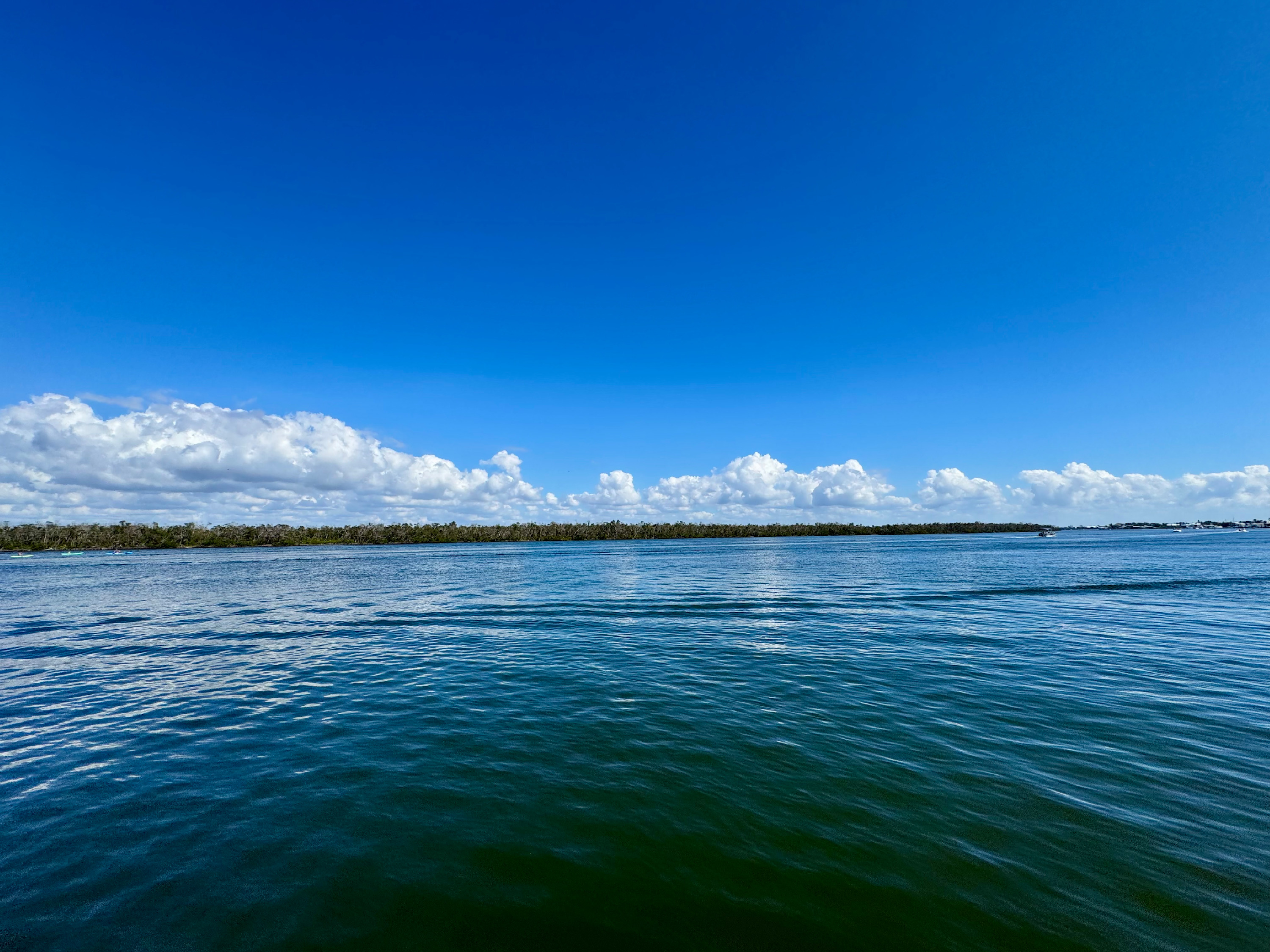 
        <div class='title'>
          Clouds on back bay waters
        </div>
       
        <div class='description'>
          
        </div>
      