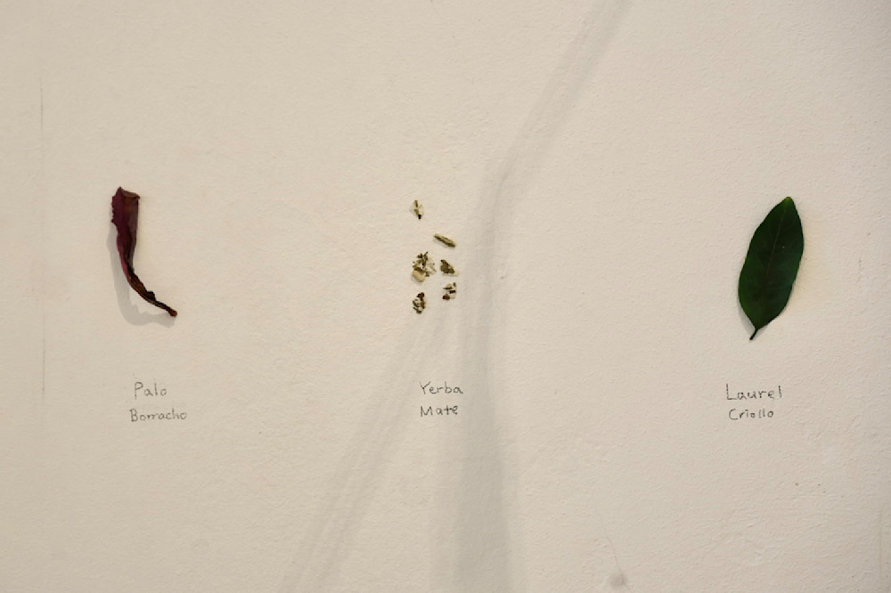 Hacer un Bosque (Making a Forest) — View 14 — Jay Lee