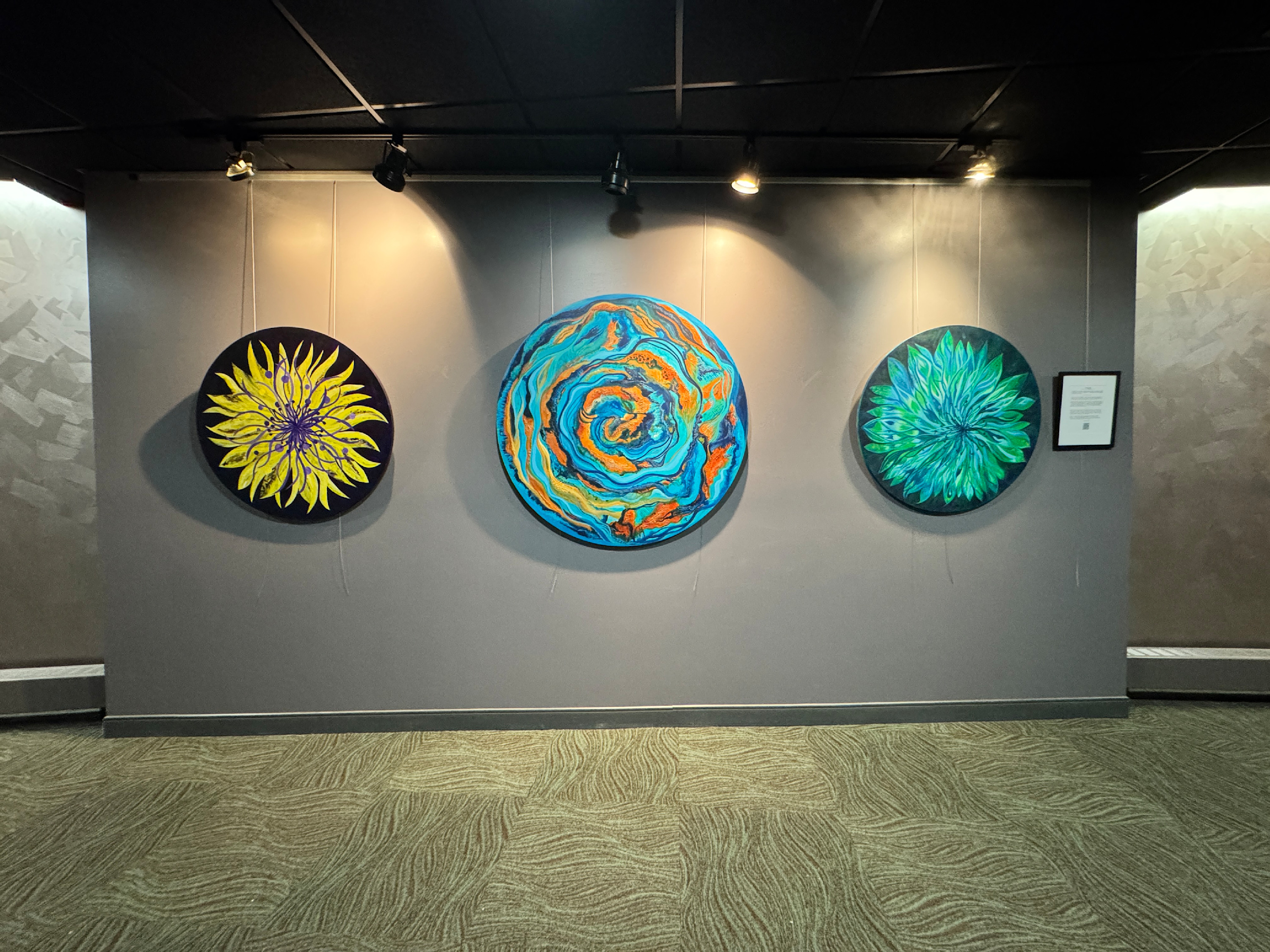 
        <div class='title'>
          Holocene Wall
        </div>
       
        <div class='description'>
          
        </div>
      