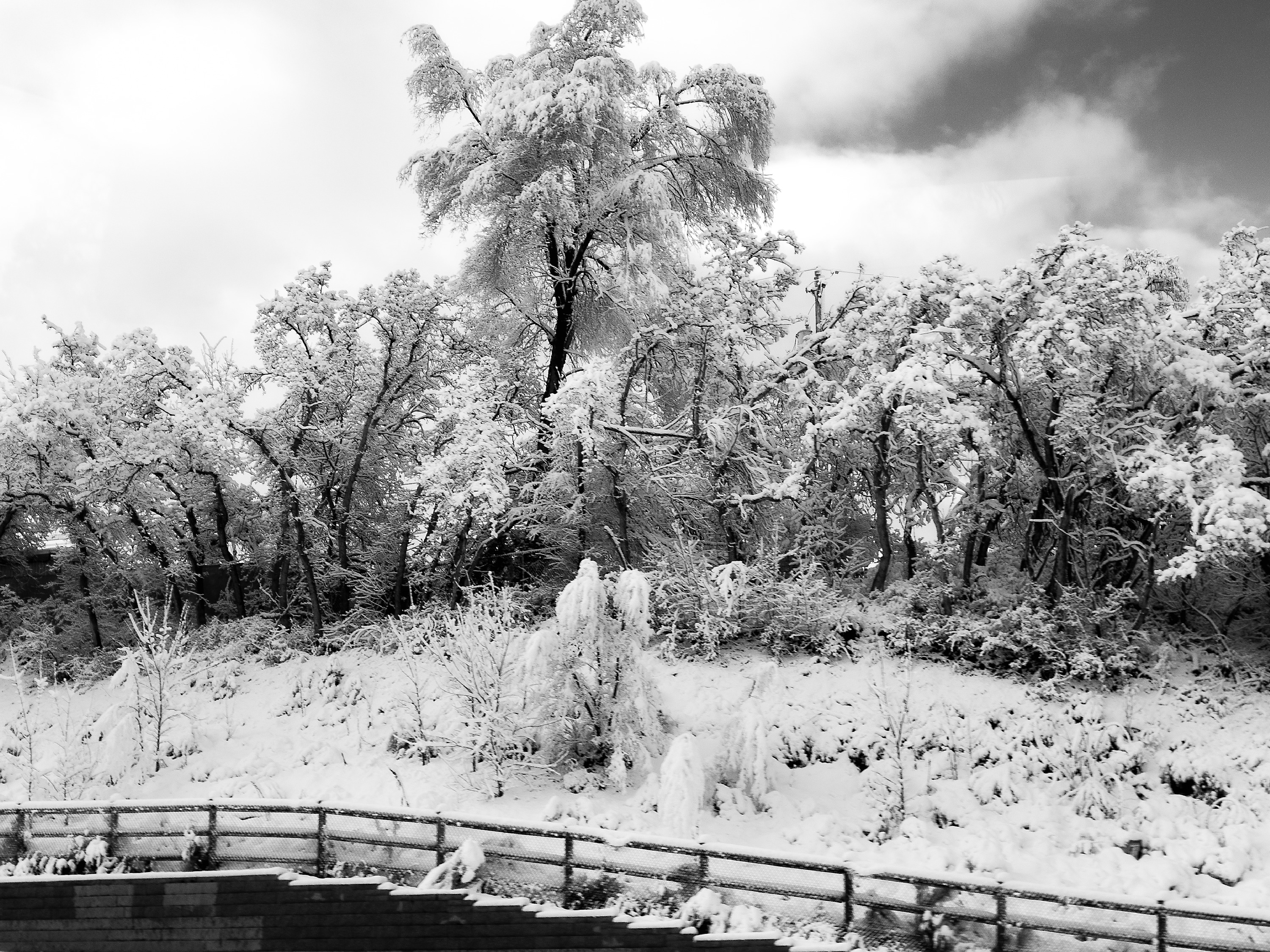 
        <div class='title'>
          Snow Salt Lake
        </div>
       
        <div class='description'>
          
        </div>
      