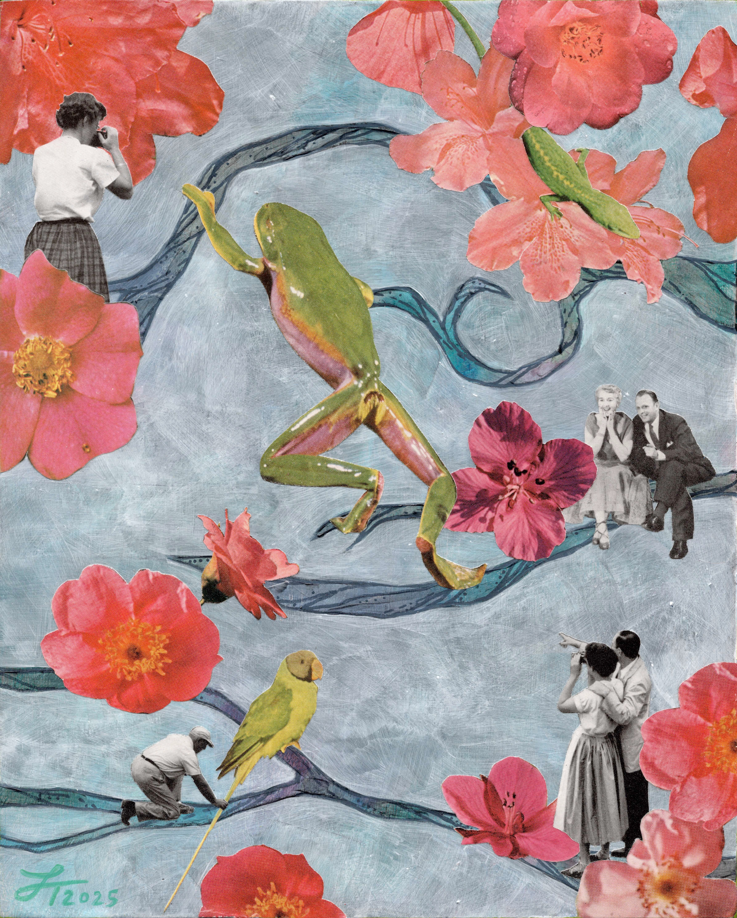 Thompson ribbit 8x10 mixedmedicollage 2025 md wfql7w