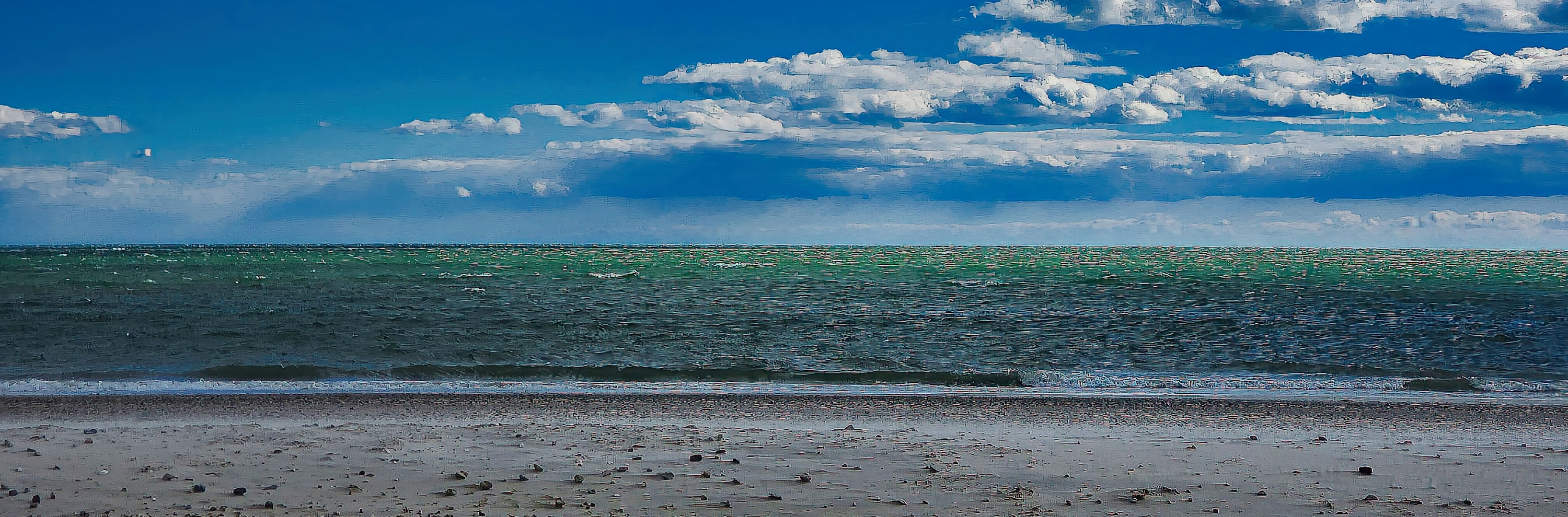 
        <div class='title'>
          William Debs Sea Gull Beach Wya
        </div>
       