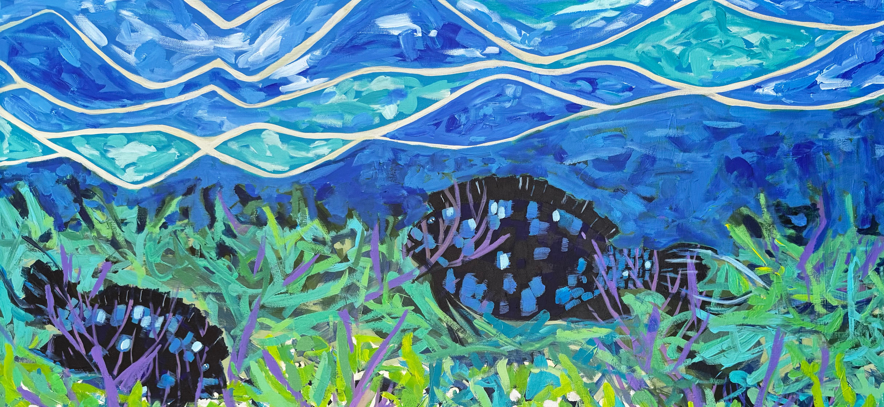
        <div class='title'>
          Feeding Time 40x30 1400 Corals
        </div>
       