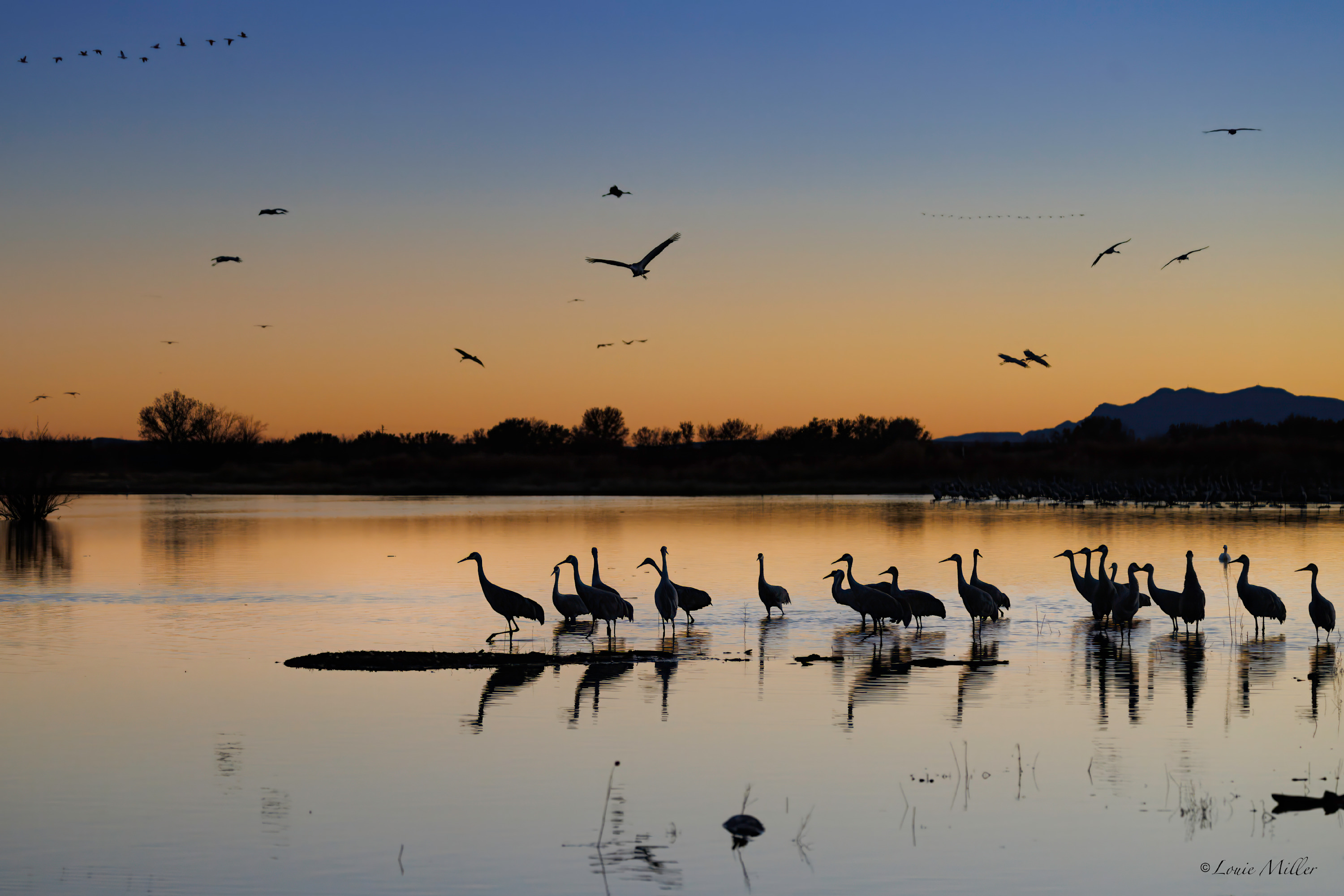 
        <div class='title'>
          Stork Sunset Takeoff
        </div>
       
        <div class='description'>
          
        </div>
      