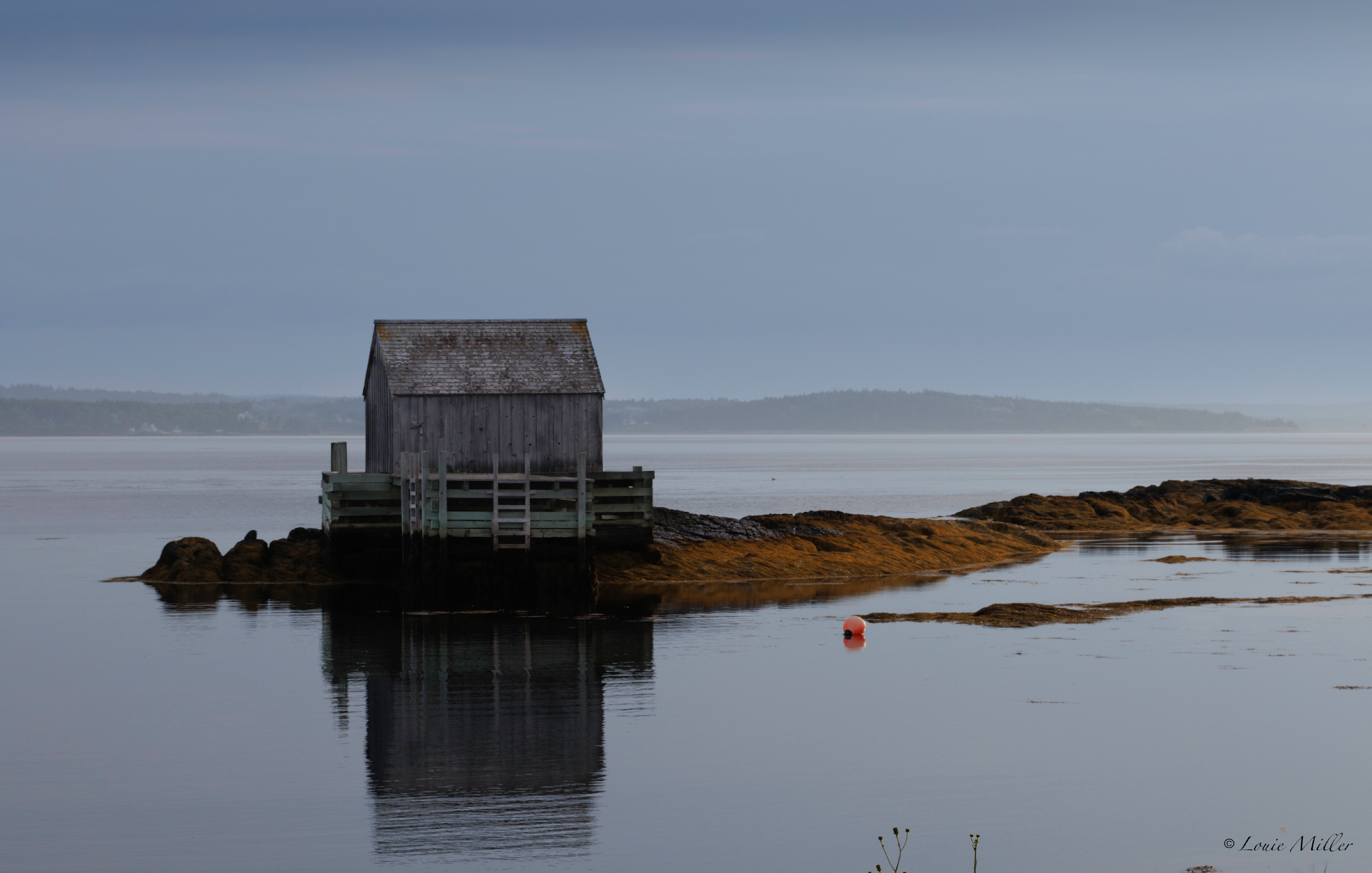 
        <div class='title'>
          Alone On The Bay
        </div>
       
        <div class='description'>
          
        </div>
      