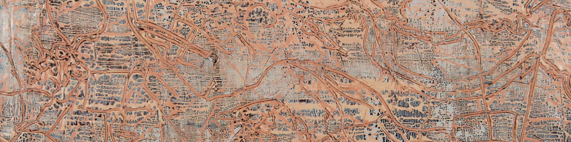 
        <div class='title'>
          New Project
        </div>
       