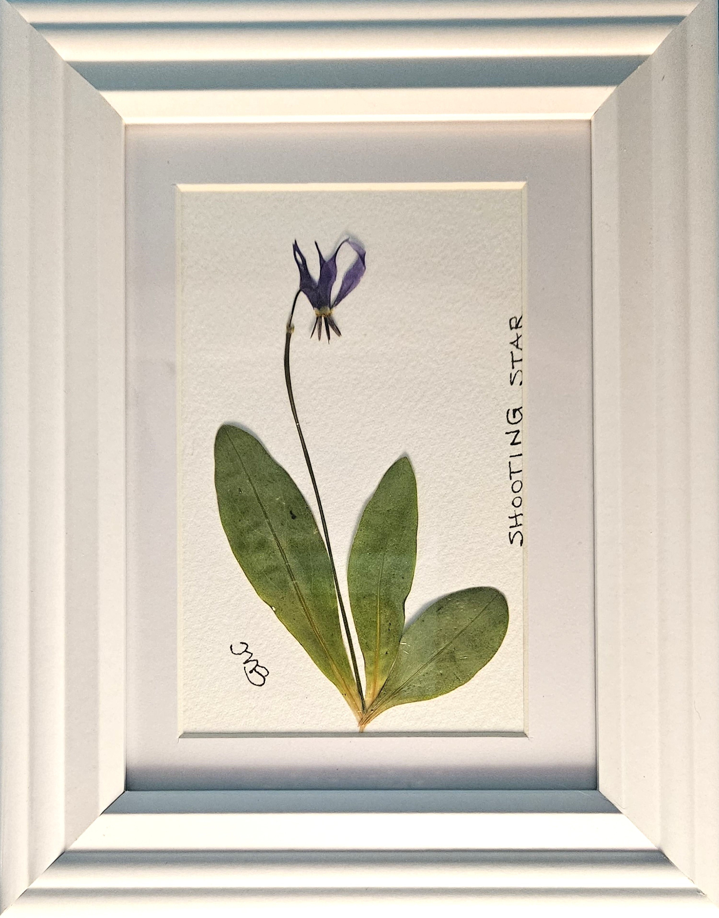 Af093 shootingstar vc0cj1