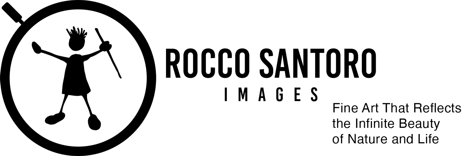 ROCCO SANTORO GALLERIES