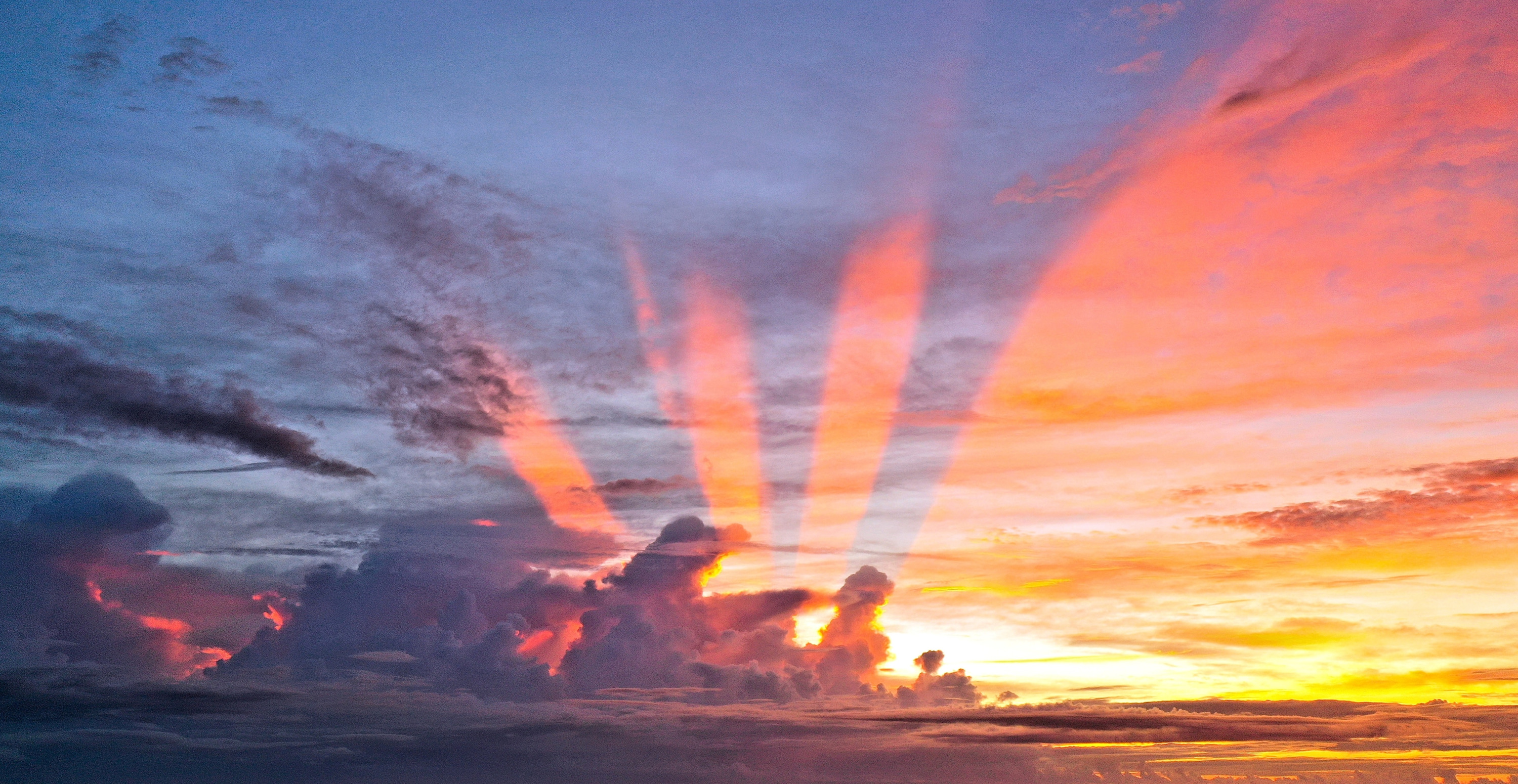 
        <div class='title'>
          Sunrise 23
        </div>
       