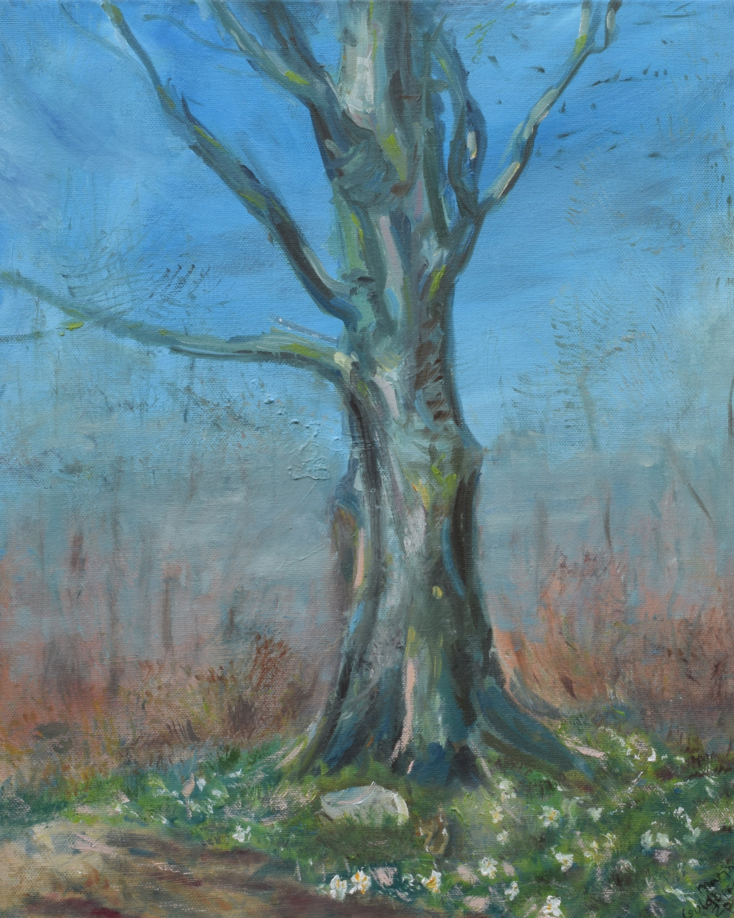 The scouts tree aipbsz itdj4s