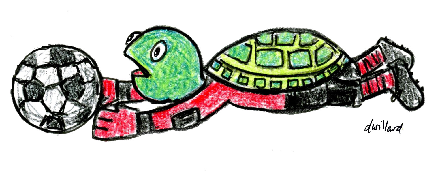 
        <div class='title'>
          Soccer Turtle Goalkeeper 1
        </div>
       