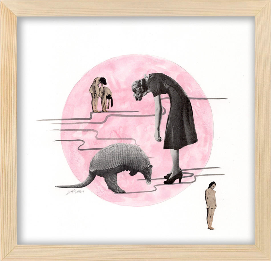 Armadillo framed aamjjl